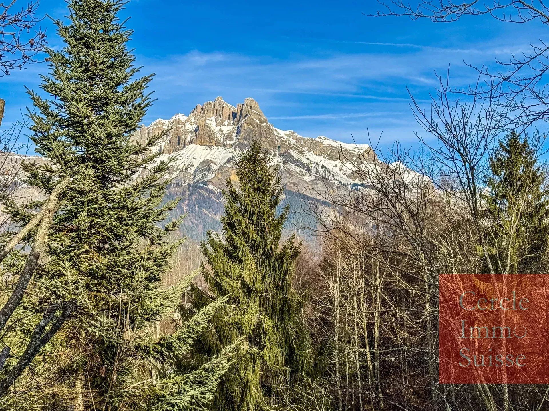 Hus i Cordon, Auvergne-Rhône-Alpes 12874973