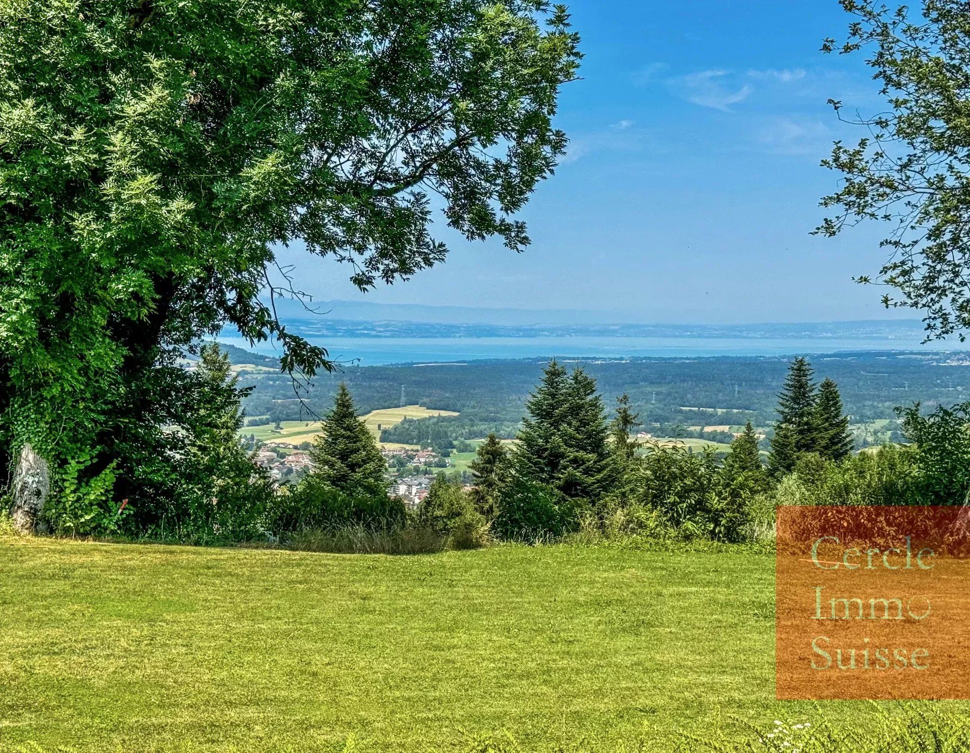 Hus i Bons-en-Chablais, Auvergne-Rhône-Alpes 12874983