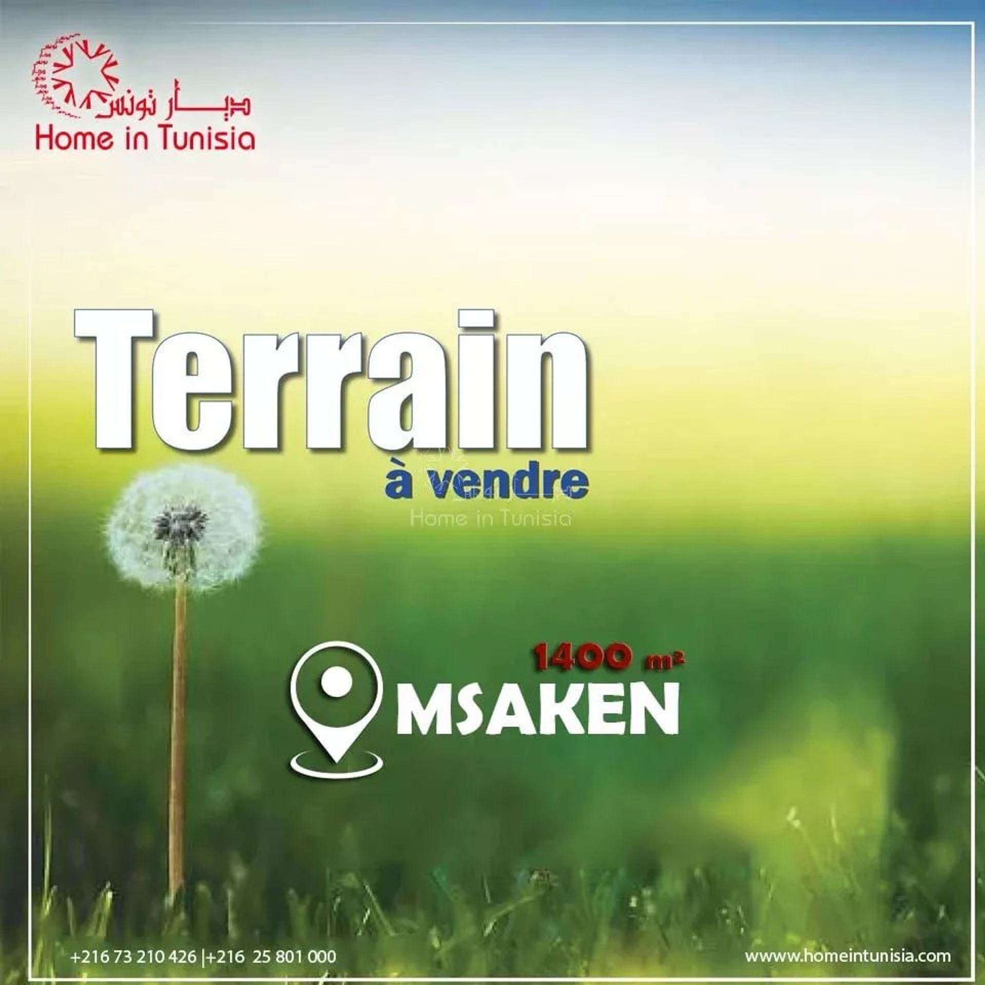 Terra no Beni Kaltoum, Sousse 12875029