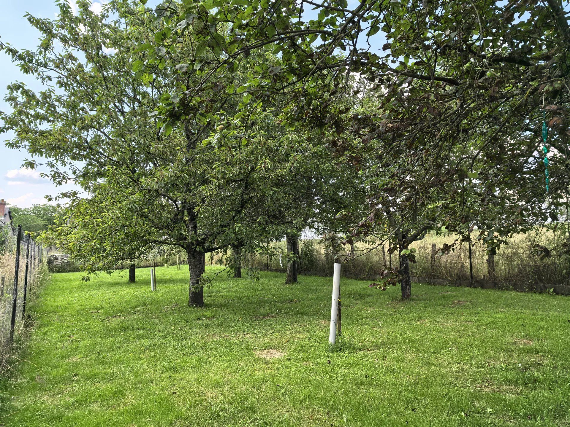 بيت في Saint-Franchy, Nièvre 12875573