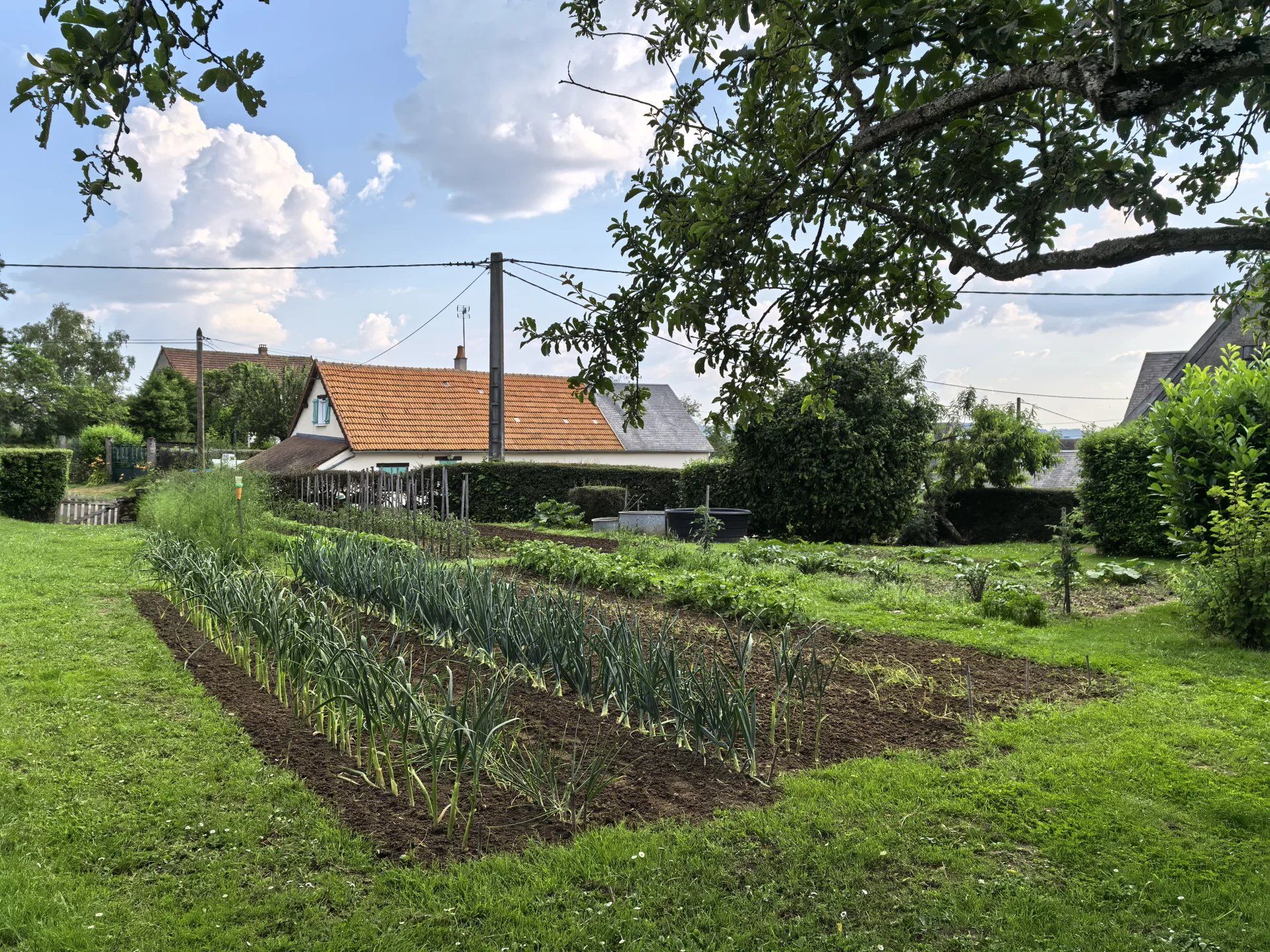 بيت في Saint-Franchy, Nièvre 12875573