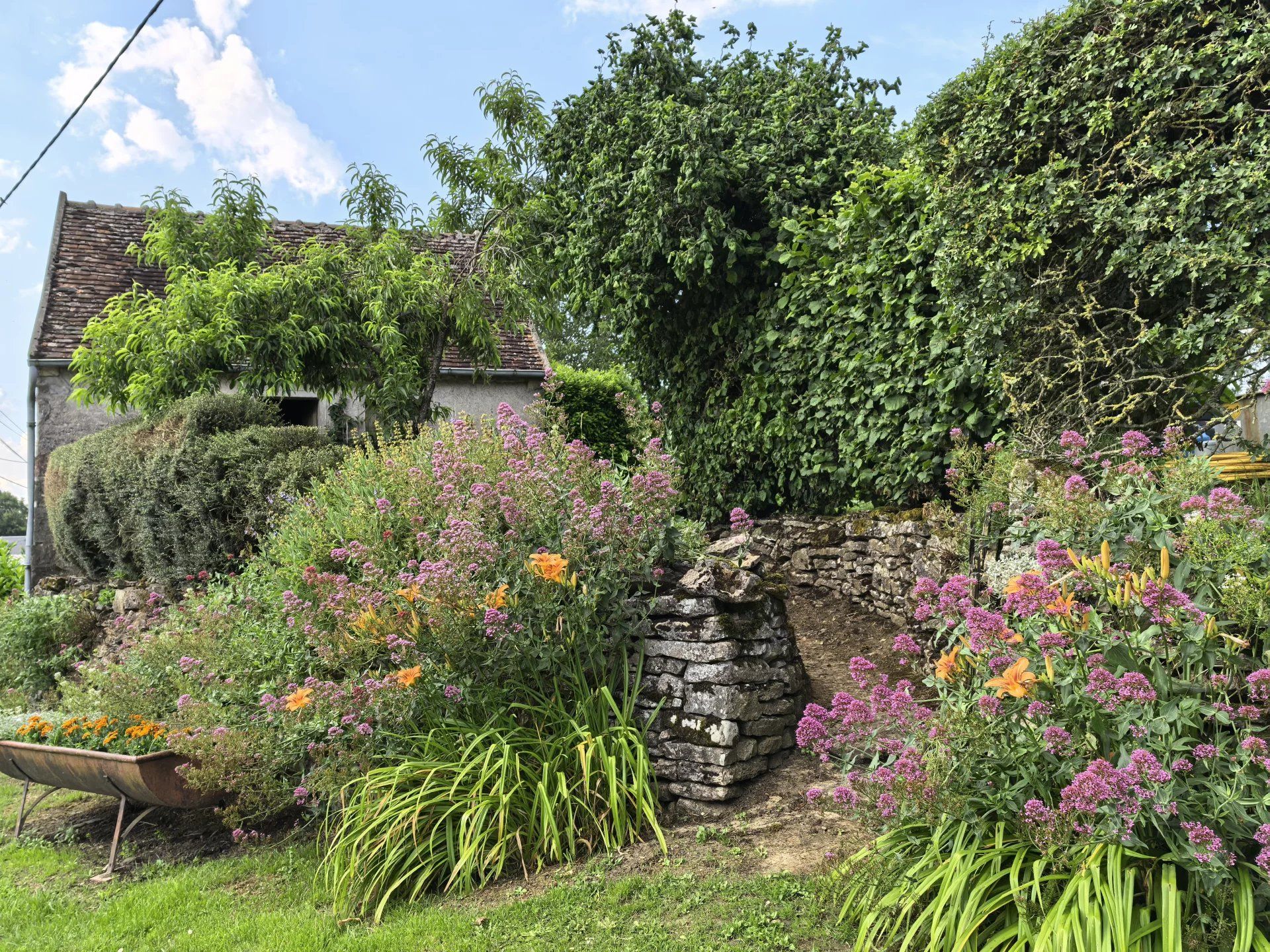 بيت في Saint-Franchy, Nièvre 12875573