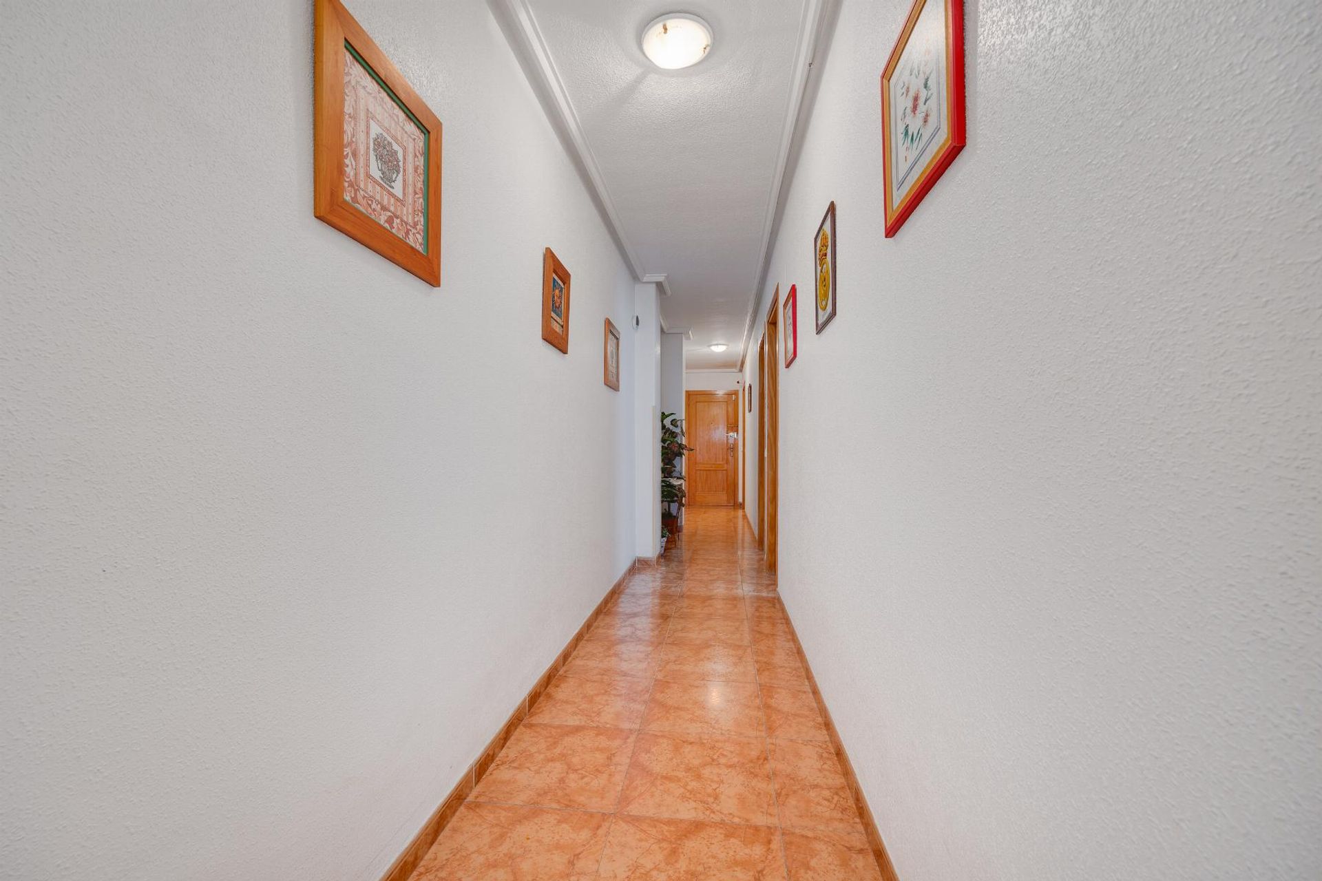 Condominium in Torrevieja, Valencia 12877316