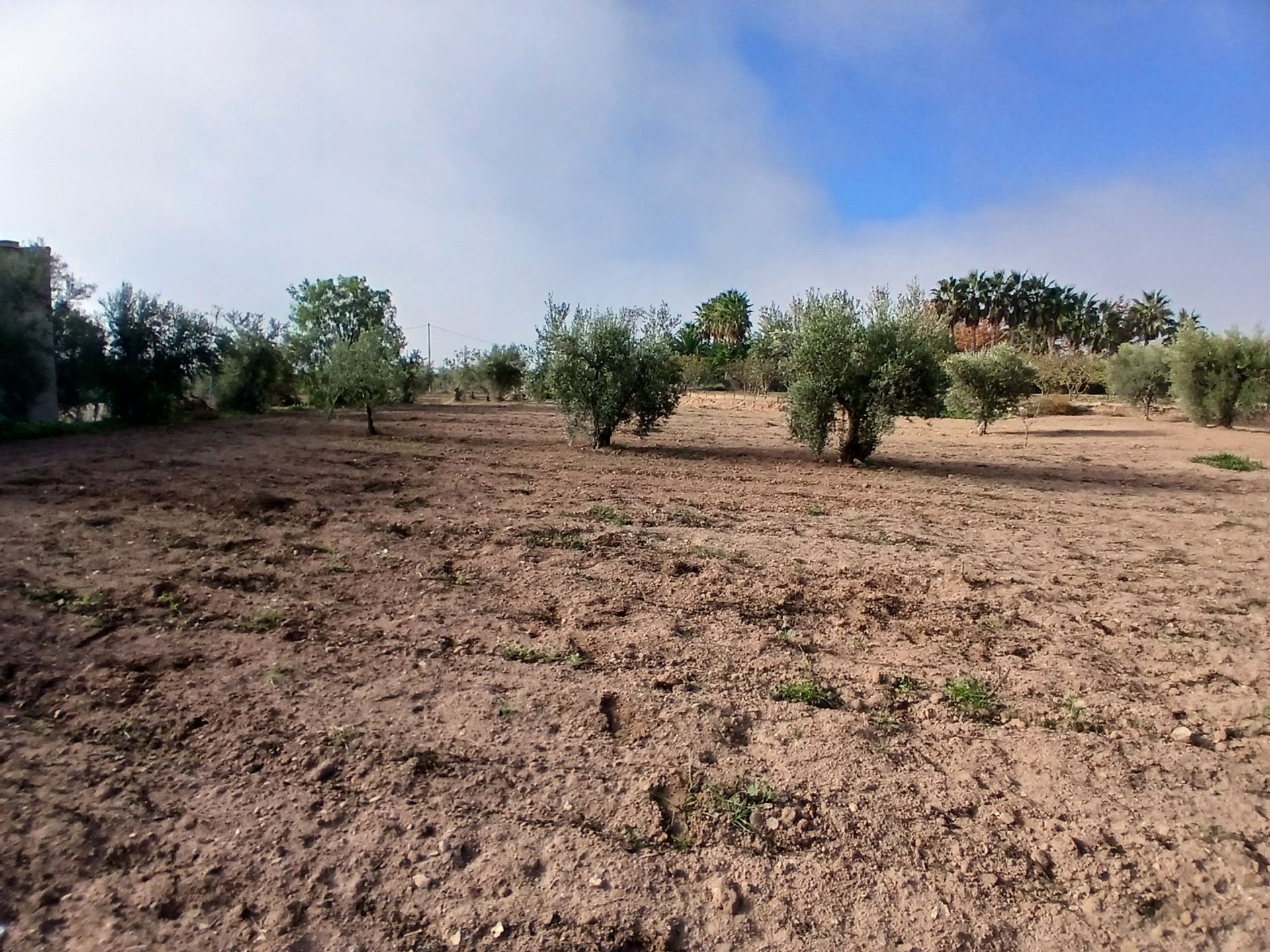 Будинок в Jumilla, Región de Murcia 12877371