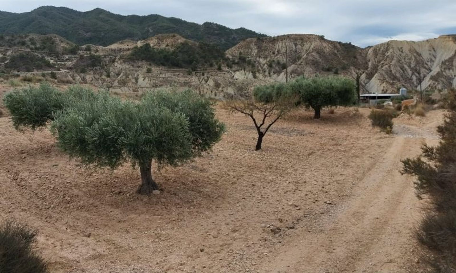 집 에 Abanilla, Región de Murcia 12877829