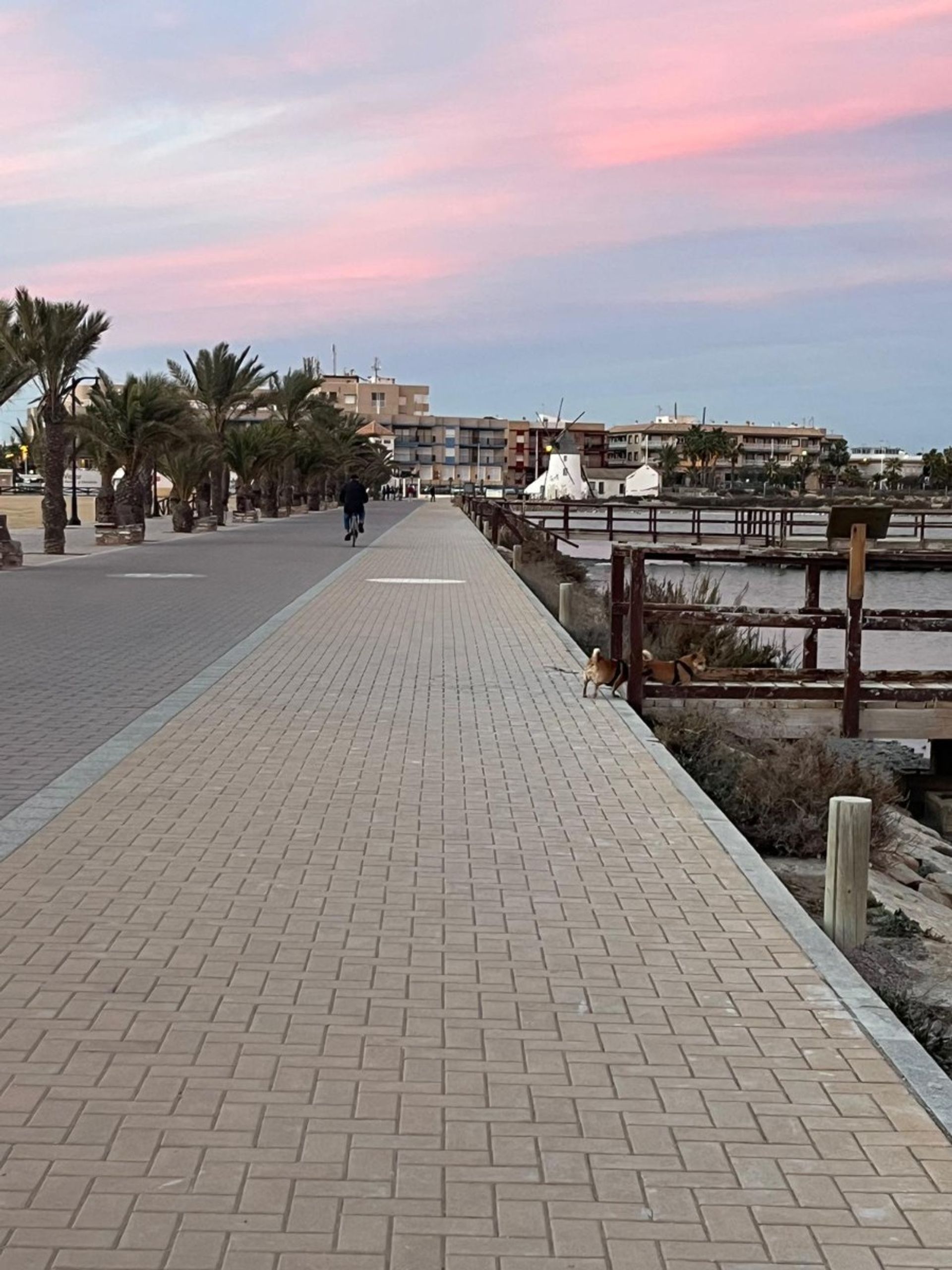 Industrial in Las Beatas, Región de Murcia 12877947