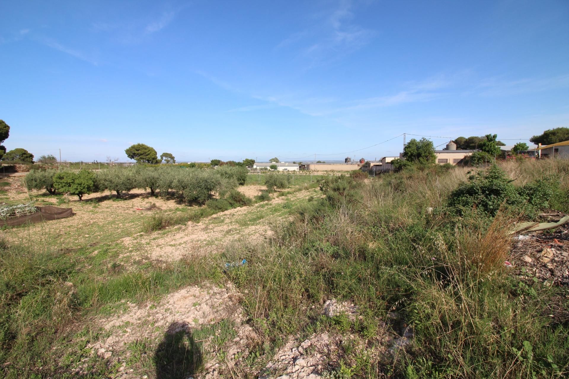 Haus im Polígon Industrial Catxapets, Comunidad Valenciana 12877969