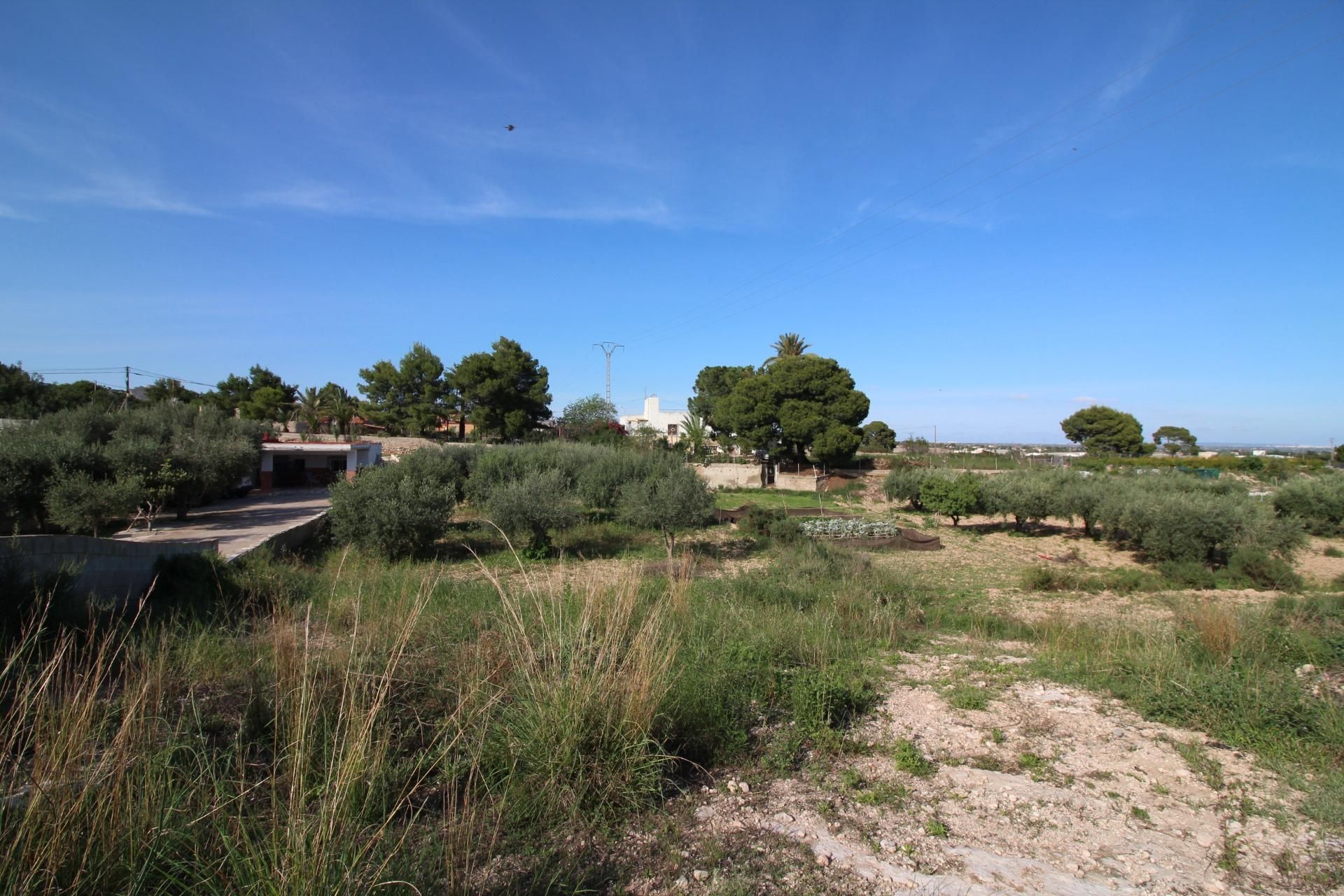 Haus im Polígon Industrial Catxapets, Comunidad Valenciana 12877969