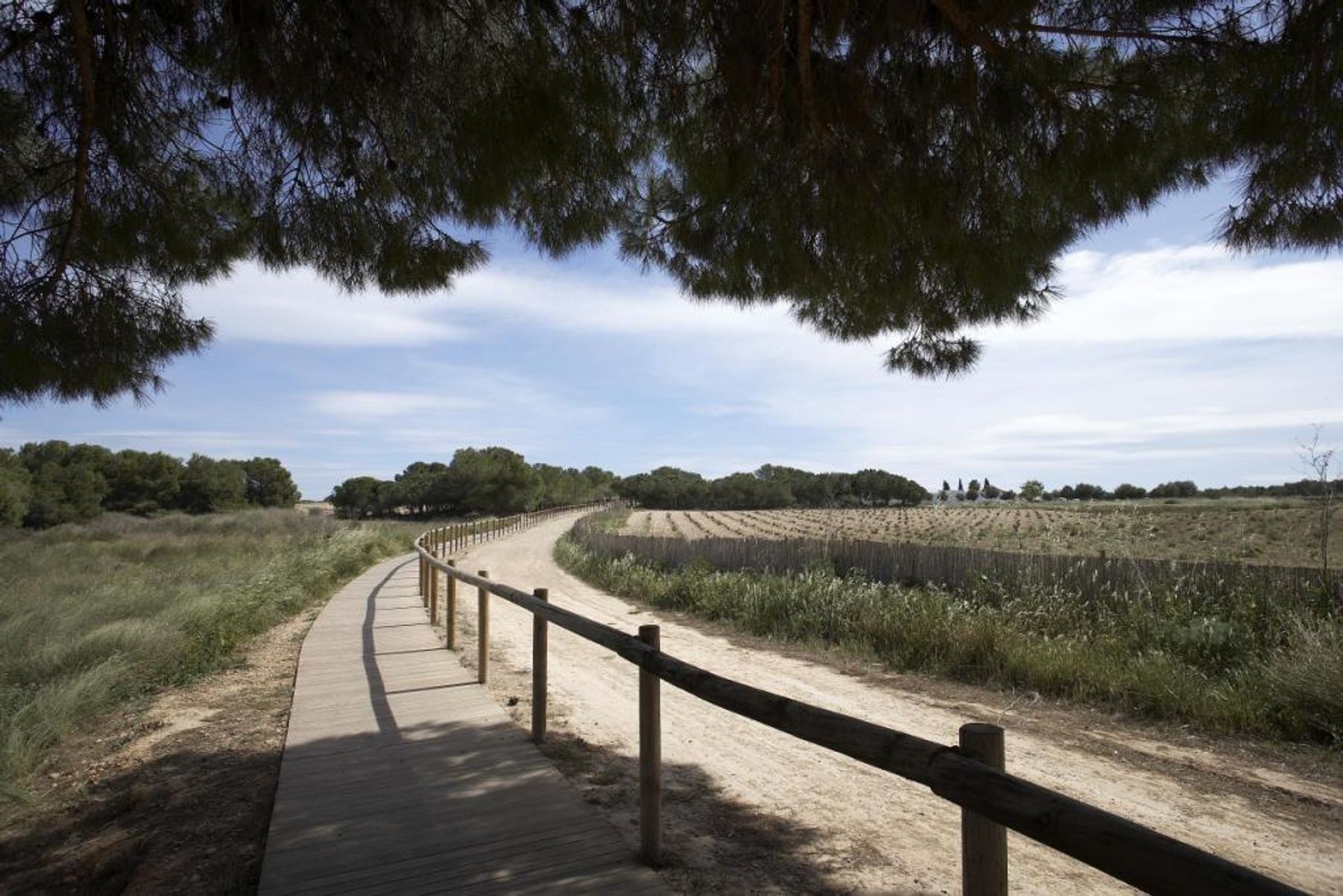 Rumah di Torrevieja, Valencia 12878780