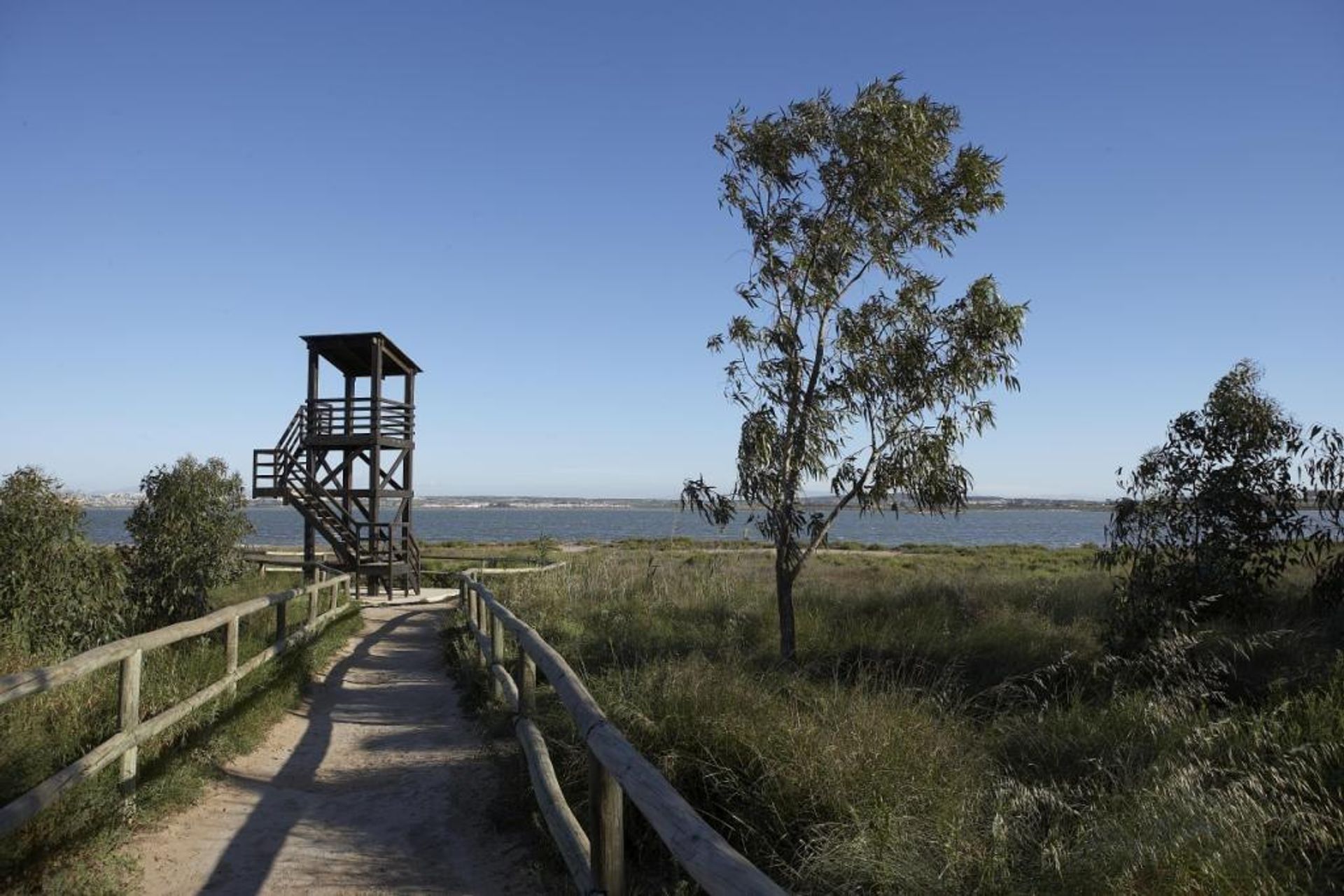 Rumah di Torrevieja, Valencia 12878780