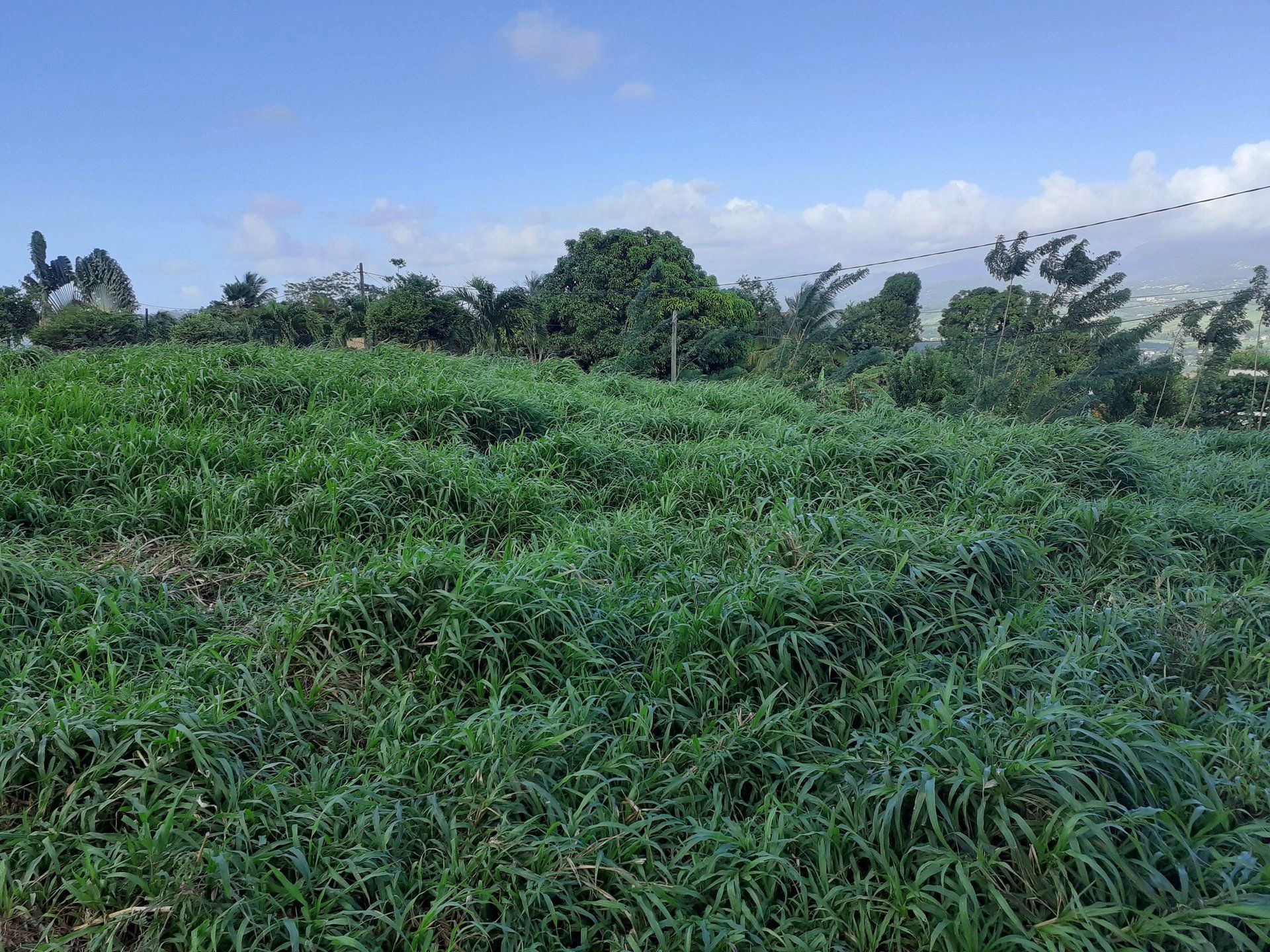 Maa sisään Cap Estate, Gros-Islet 12879186