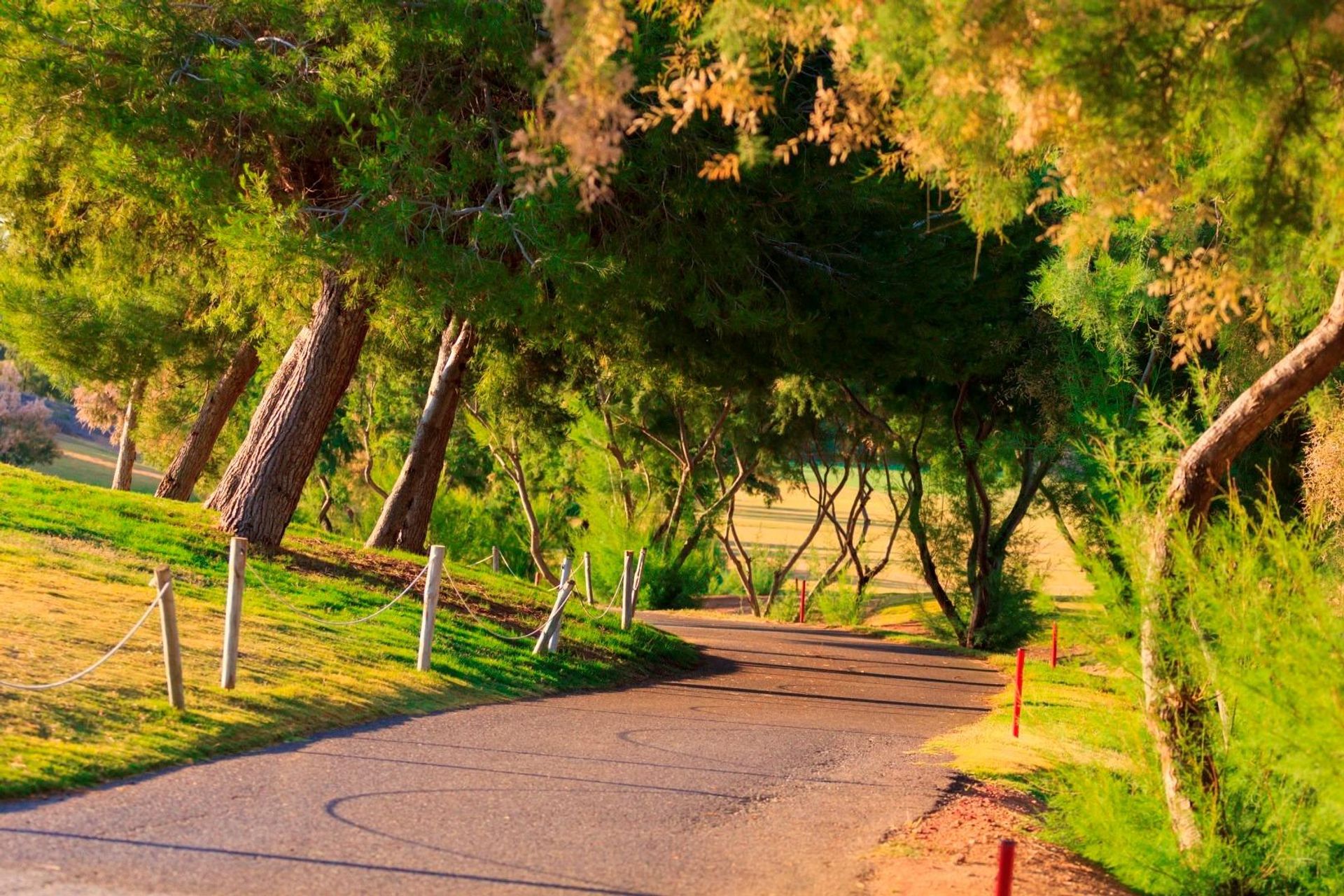 σπίτι σε Pilar de la Horadada, Valencian Community 12880377