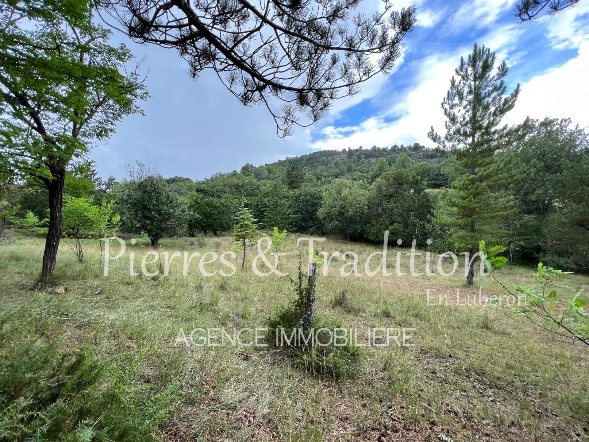 Будинок в Céreste-en-Luberon, Alpes-de-Haute-Provence 12880569