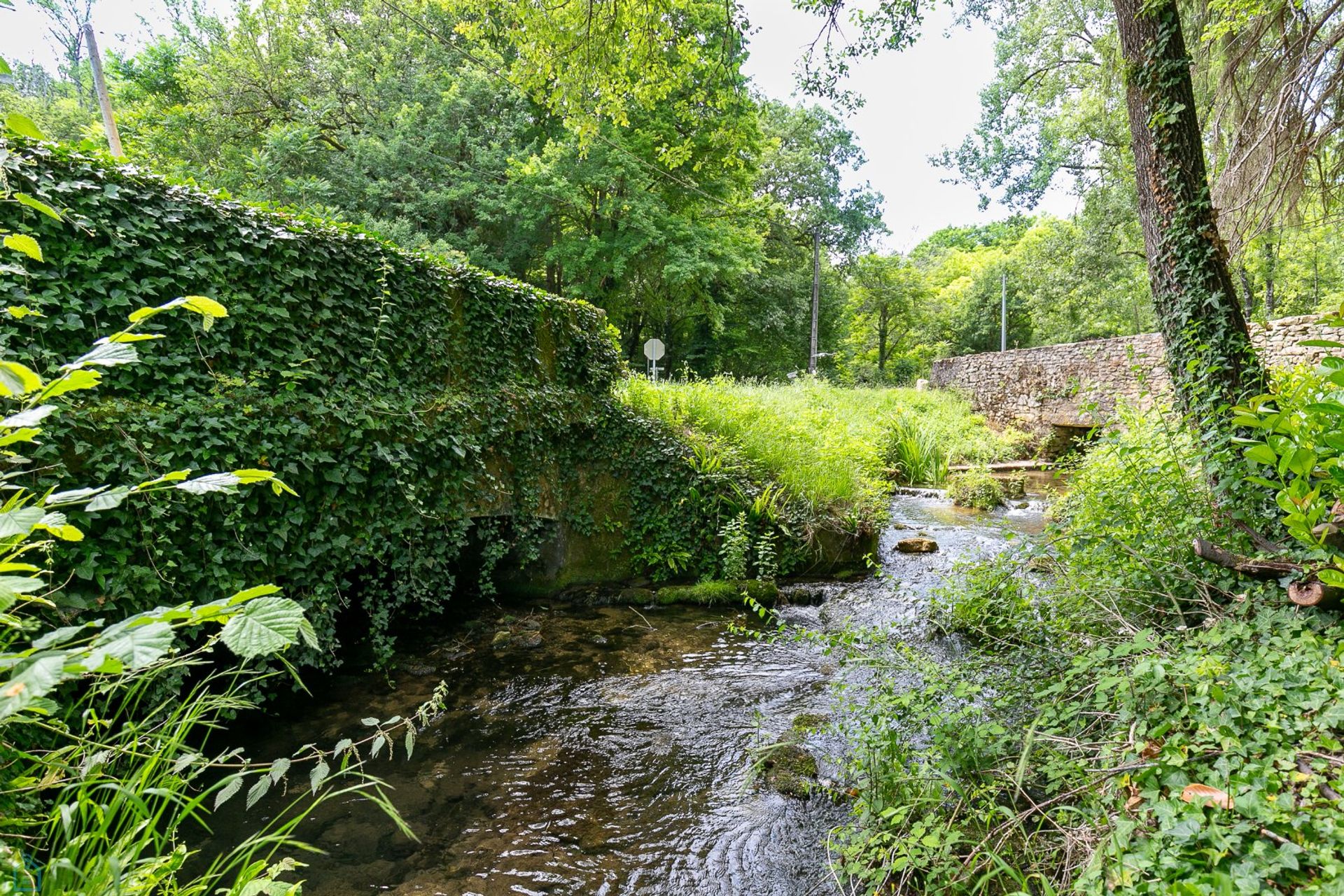 Annen i Limeuil, Nouvelle-Aquitaine 12881577