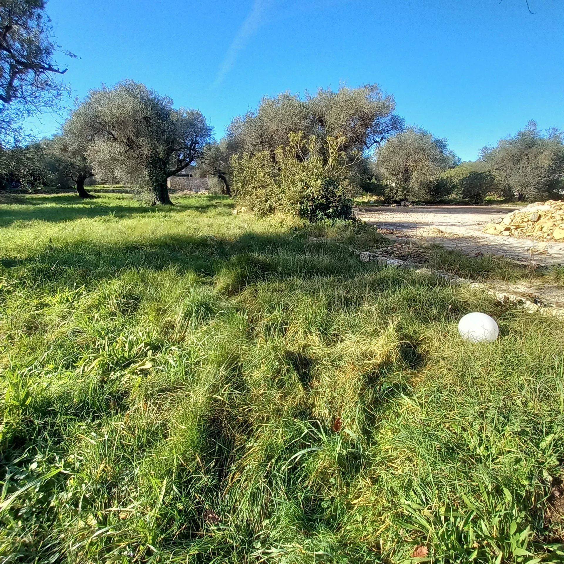 ארץ ב Les Salins, פרובנס-אלפ-קוט ד'אזור 12881935