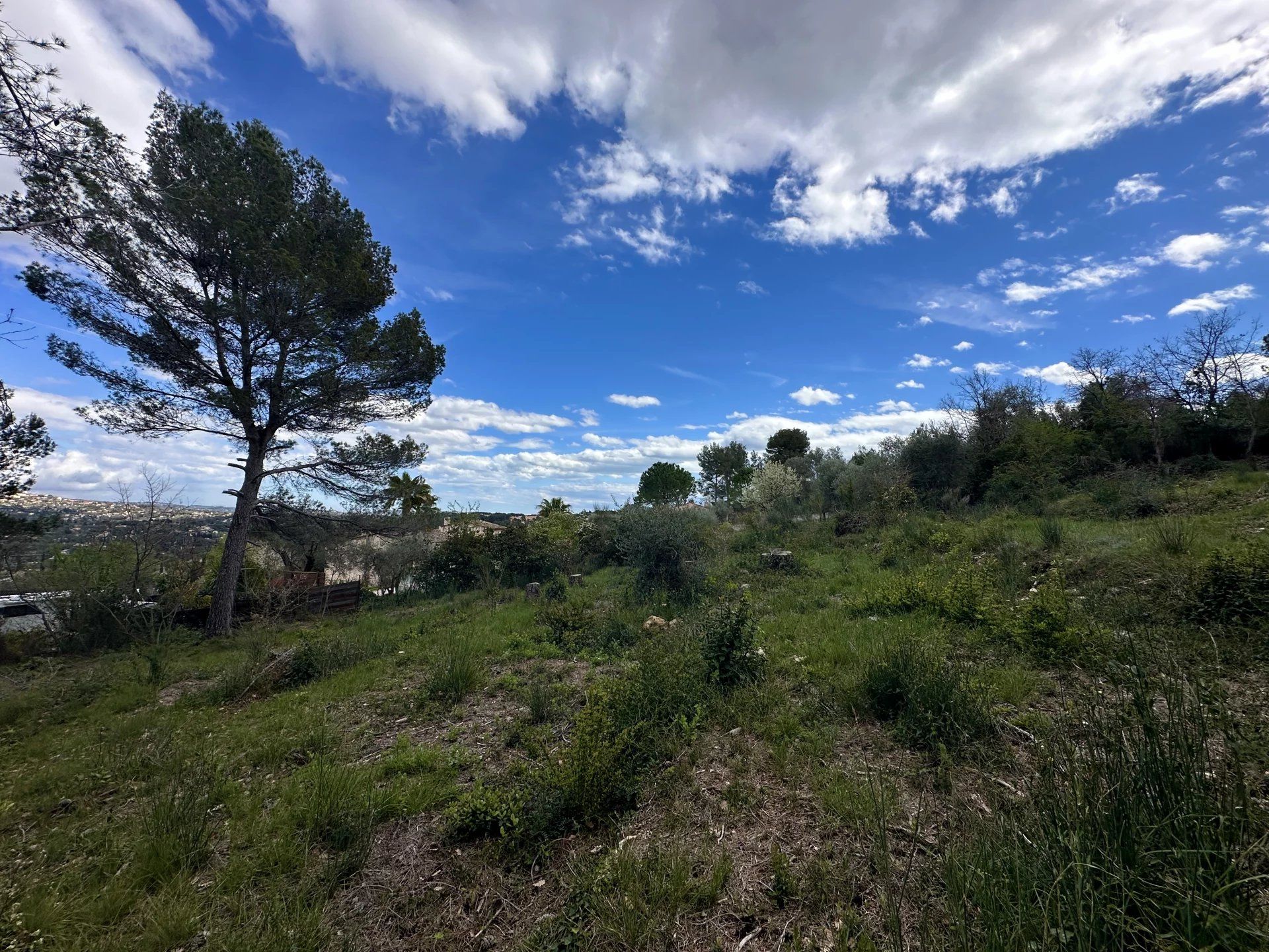 Land i Peymeinade, Provence-Alpes-Cote d'Azur 12882463