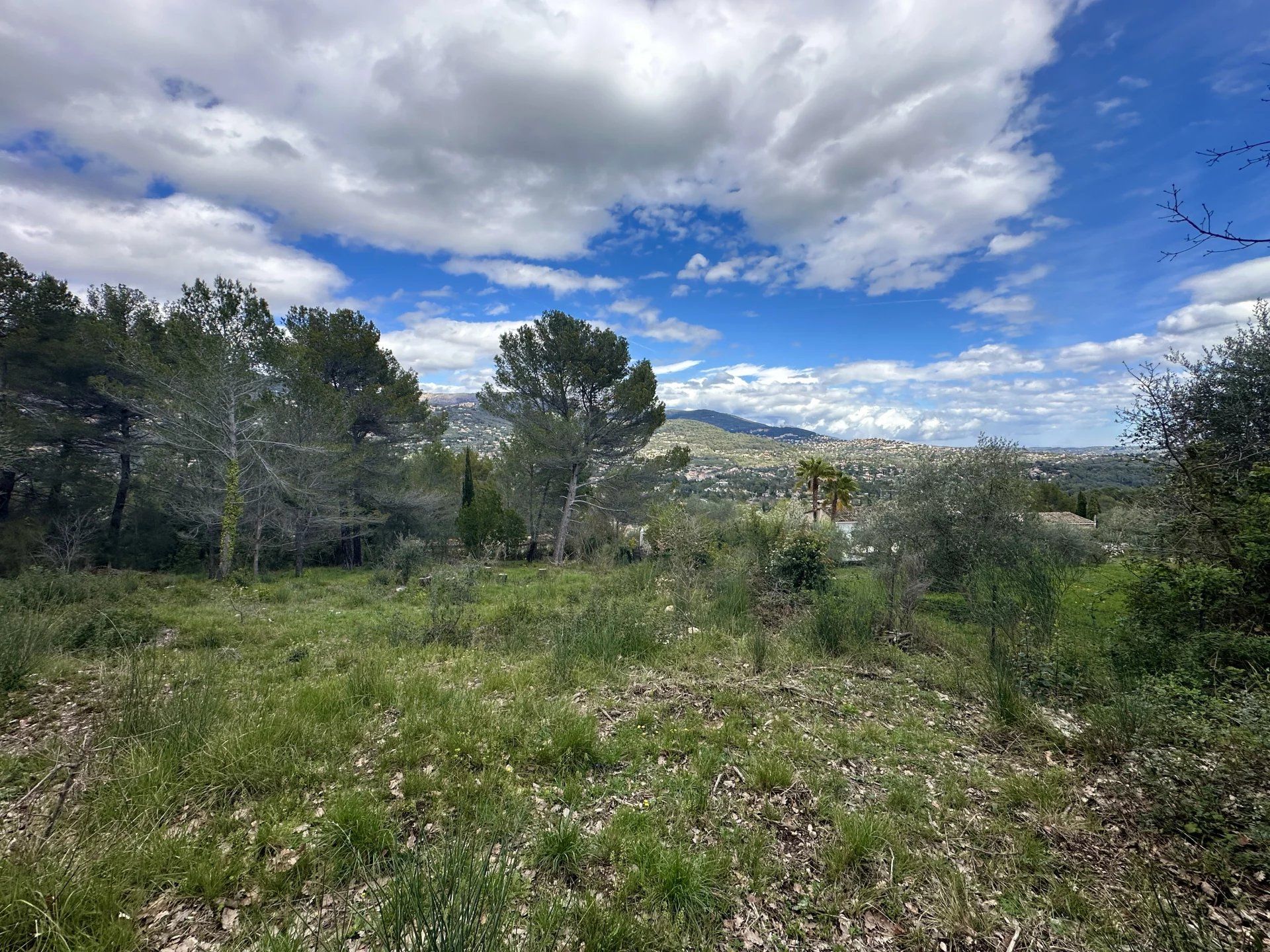 土地 在 Peymeinade, Provence-Alpes-Cote d'Azur 12882463