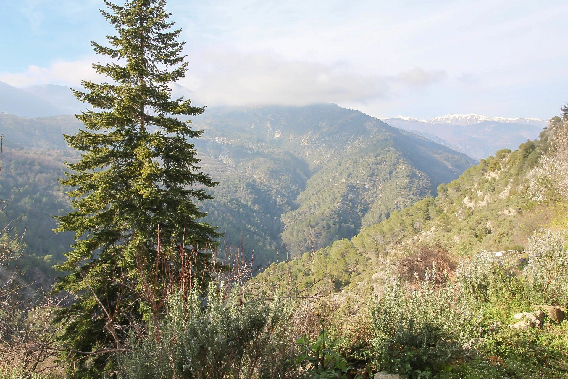 Talo sisään Sospel, Alpes-Maritimes 12883130