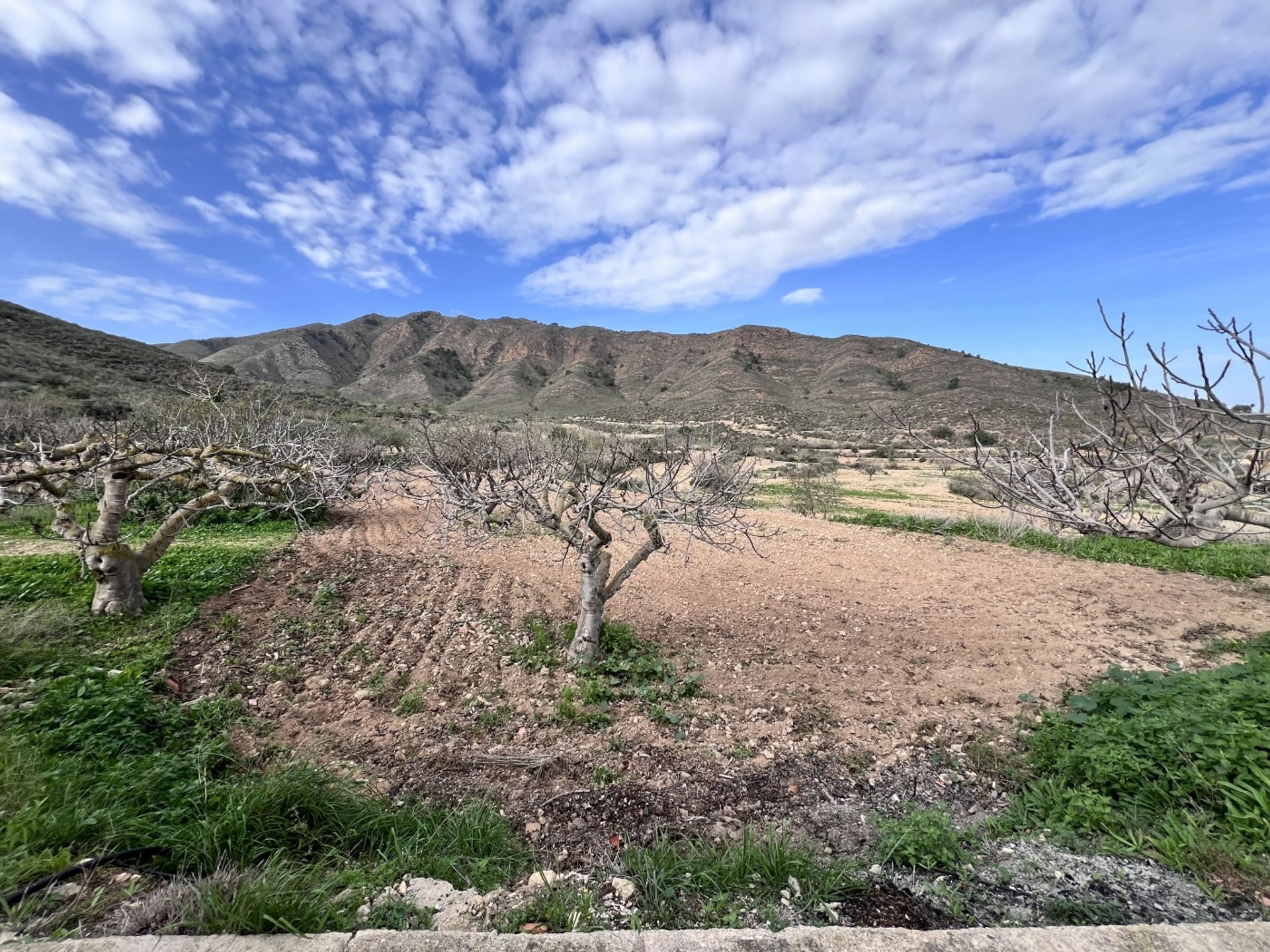 Hus i Puerto de Mazarrón, Region of Murcia 12884057