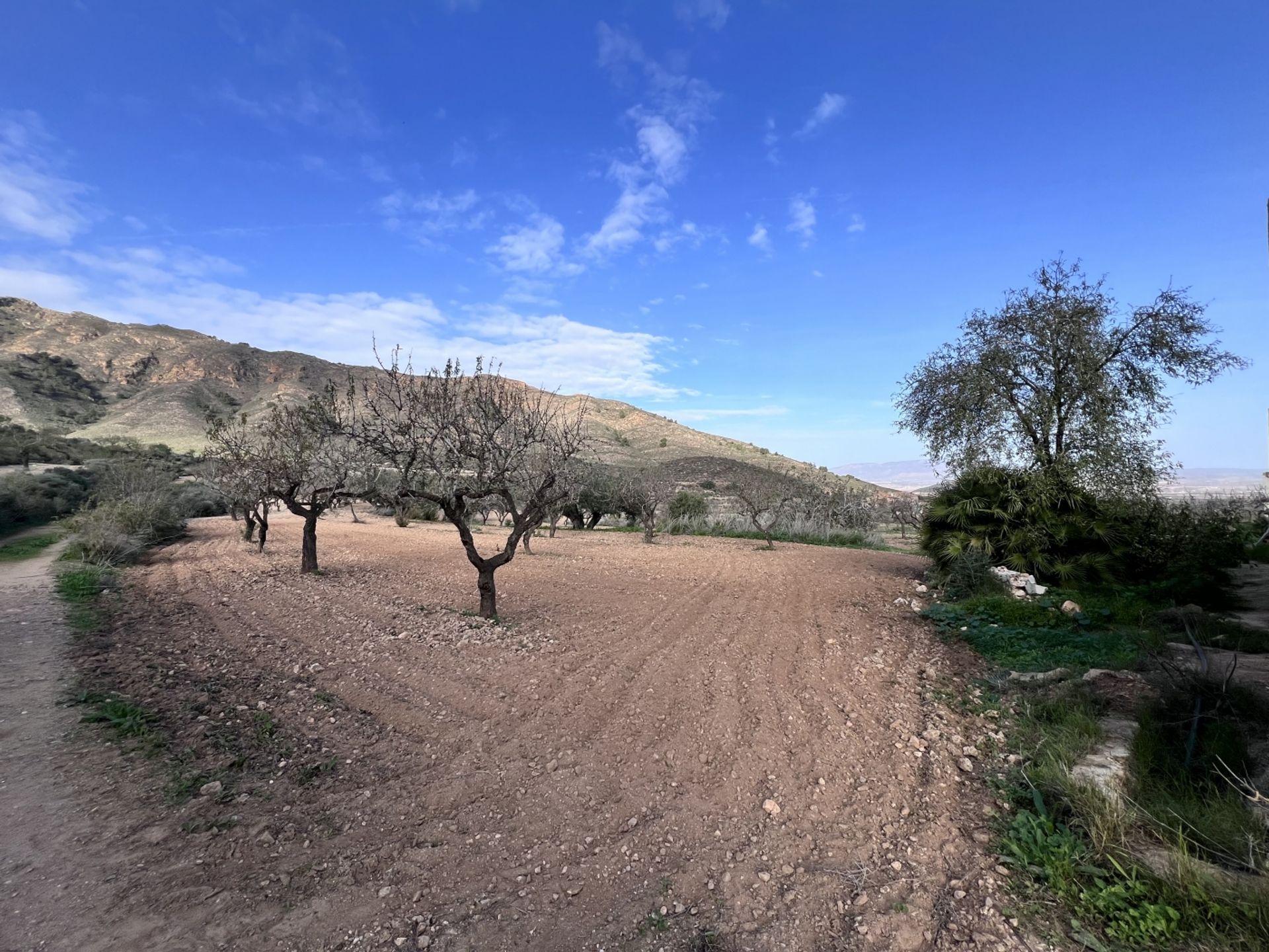 Hus i Puerto de Mazarrón, Region of Murcia 12884057