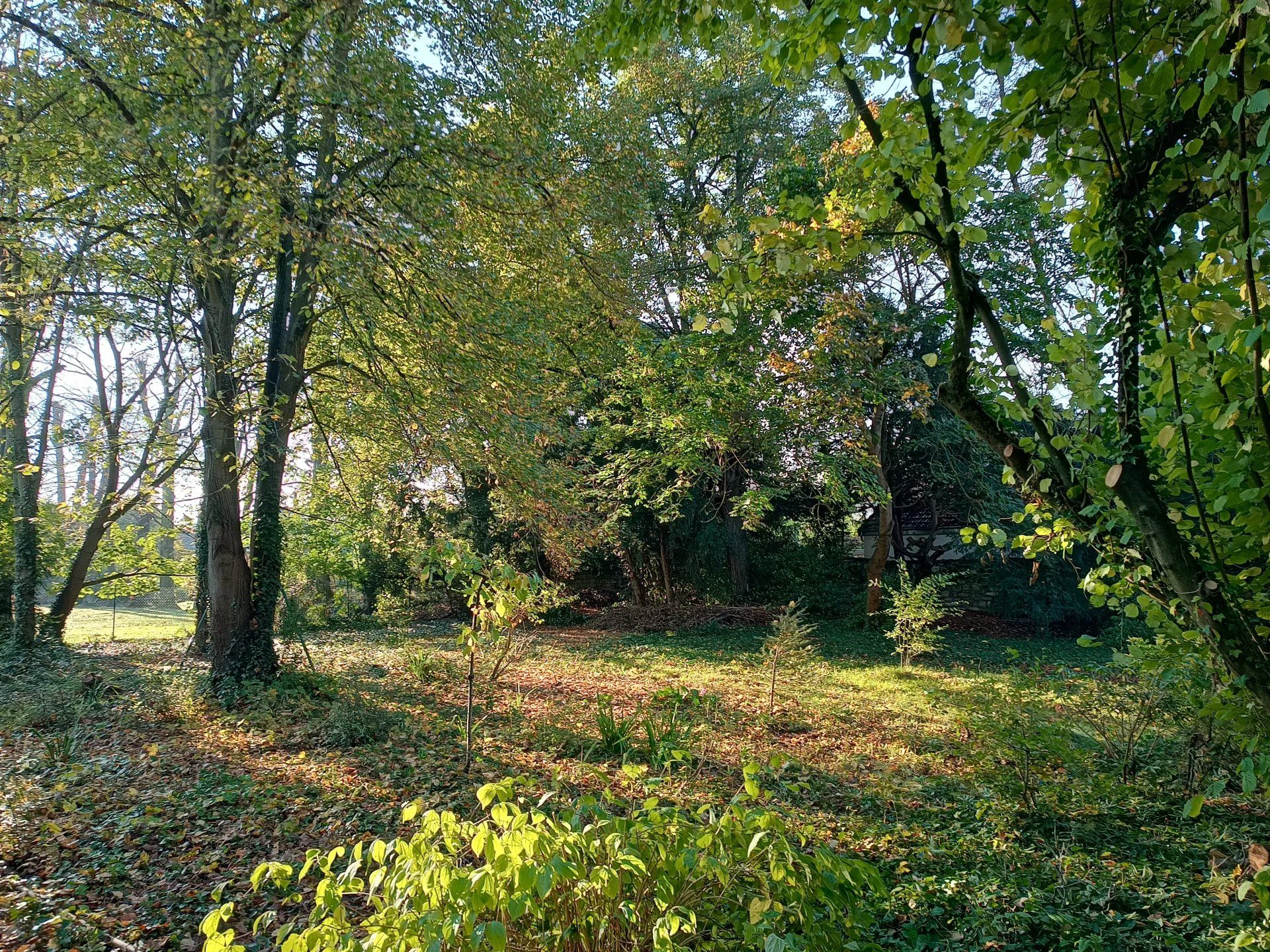 Tierra en Le Mesnil-le-Roi, Isla de Francia 12884354