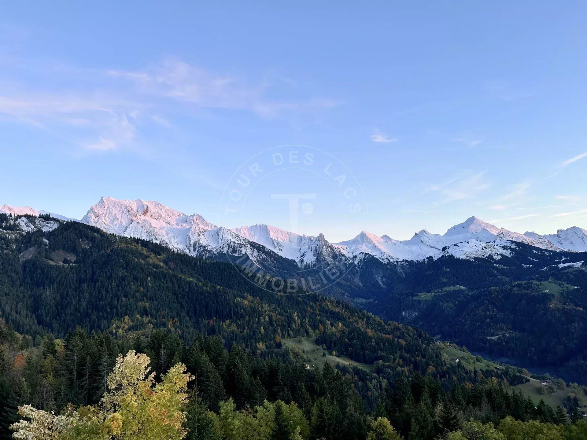 Συγκυριαρχία σε Manigod, Auvergne-Rhone-Alpes 12884383