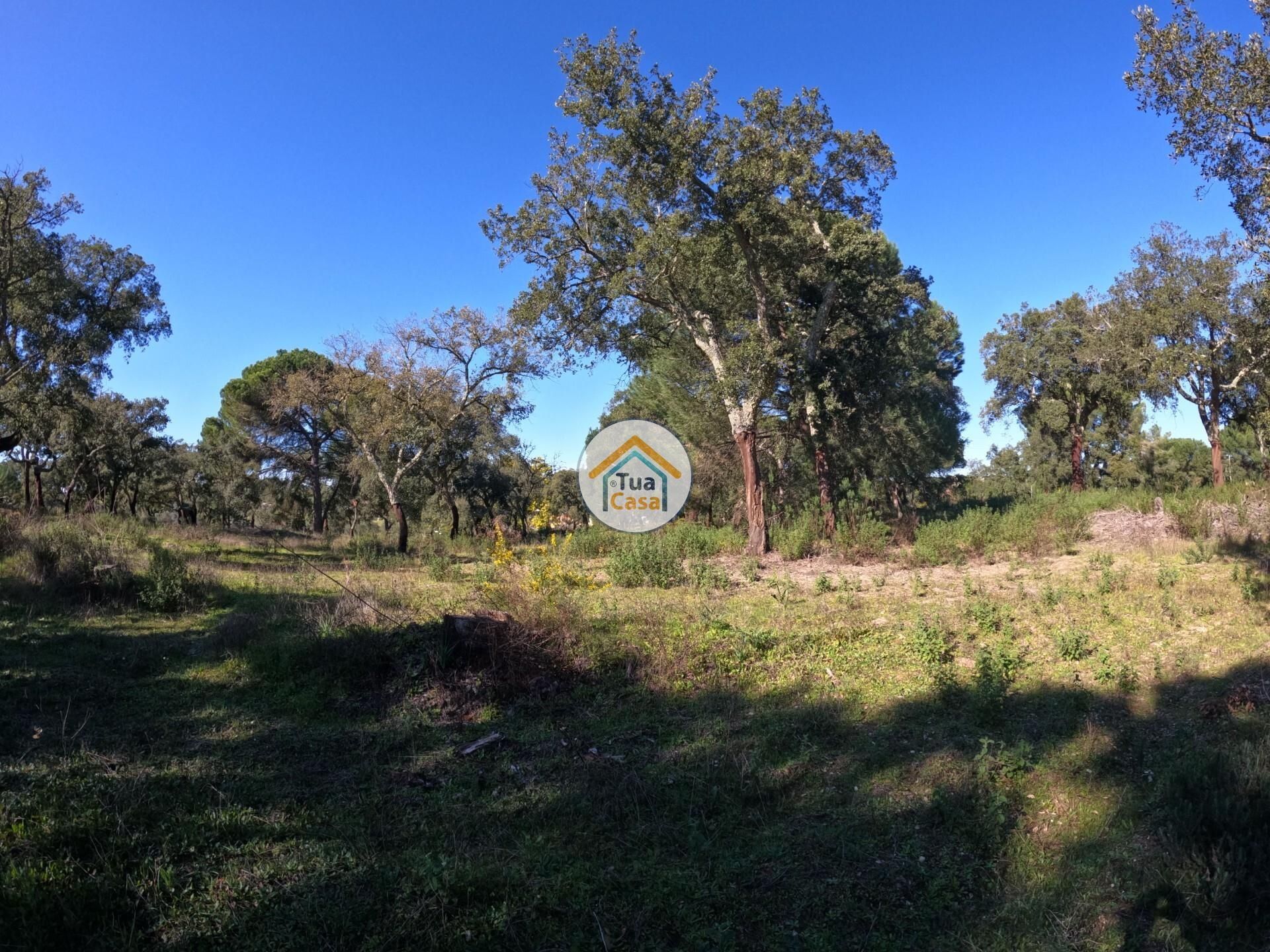 Land in , Distrito de Évora 12884781