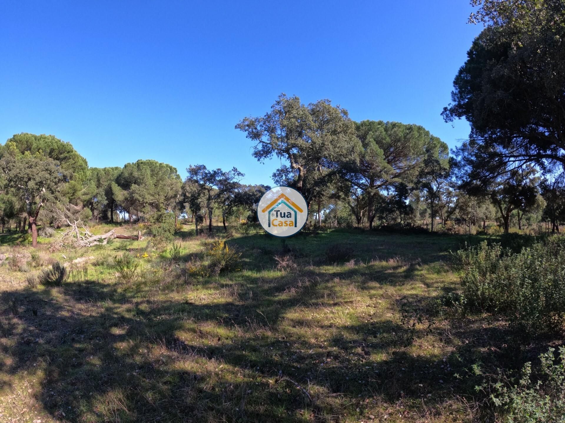 Land in , Distrito de Évora 12884781