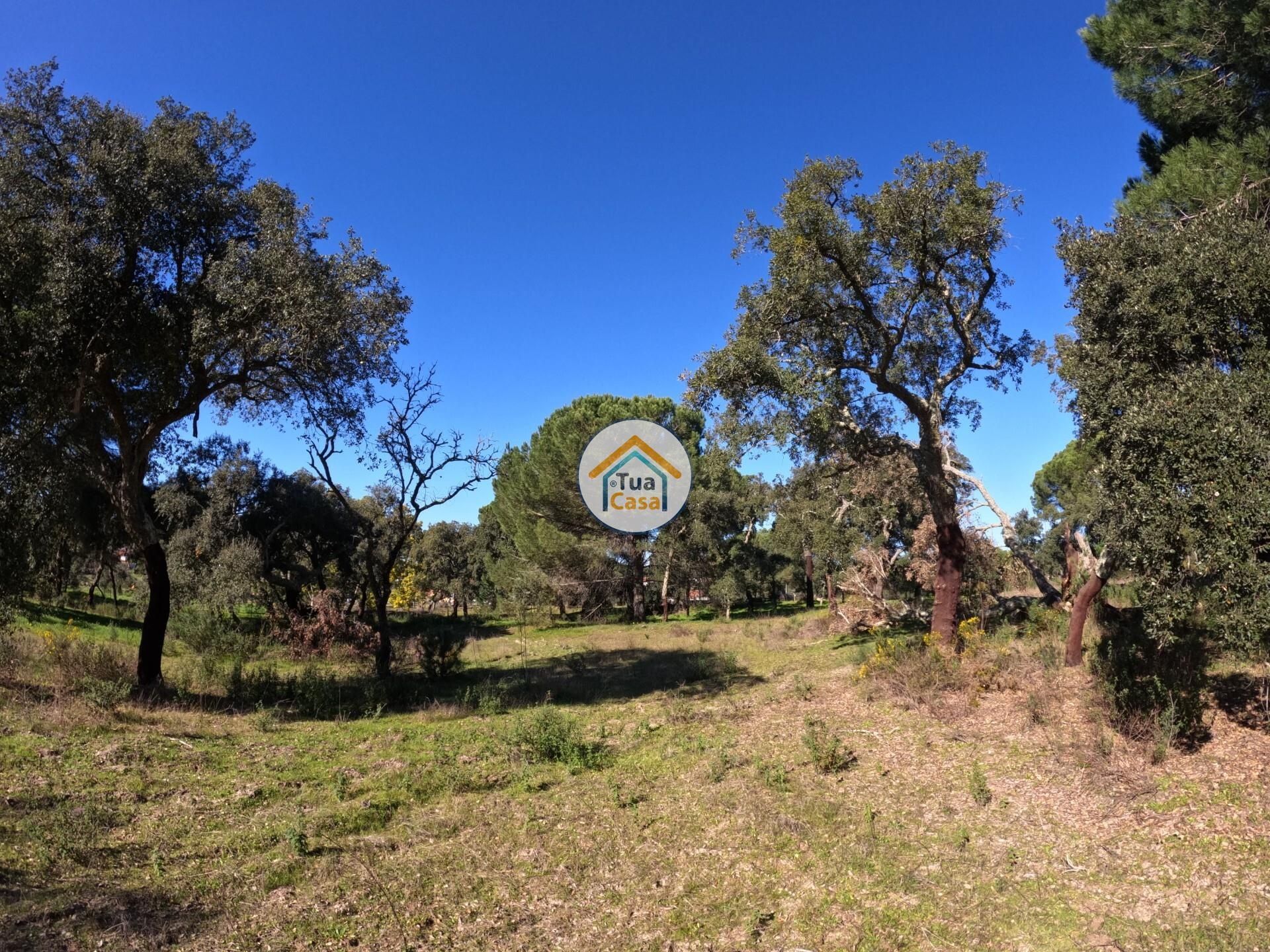 Land in , Distrito de Évora 12884781