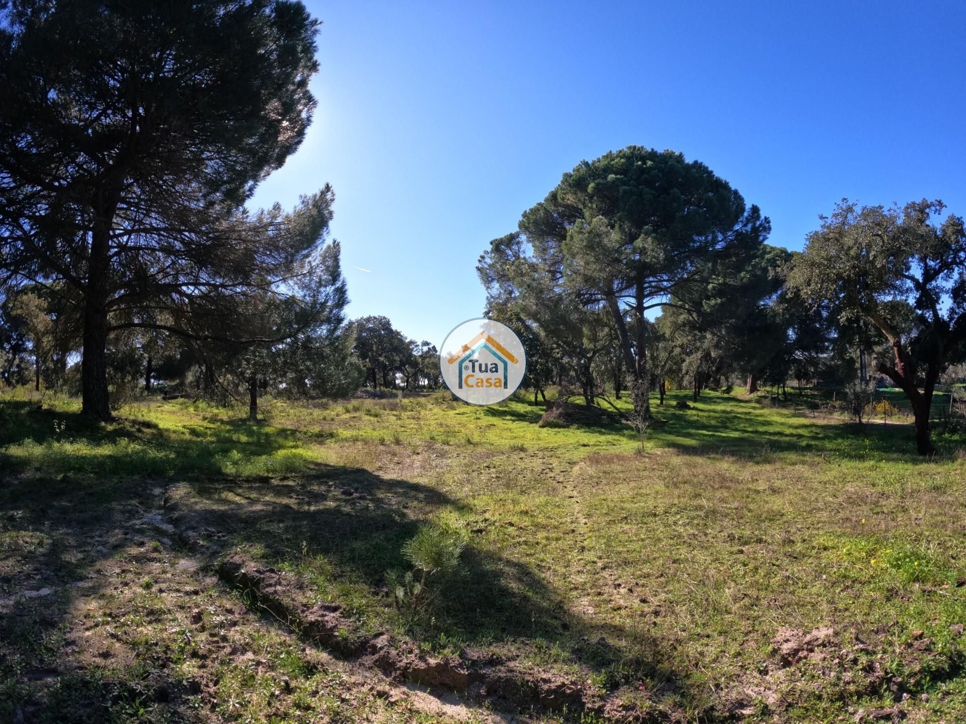 Land in , Distrito de Évora 12884781