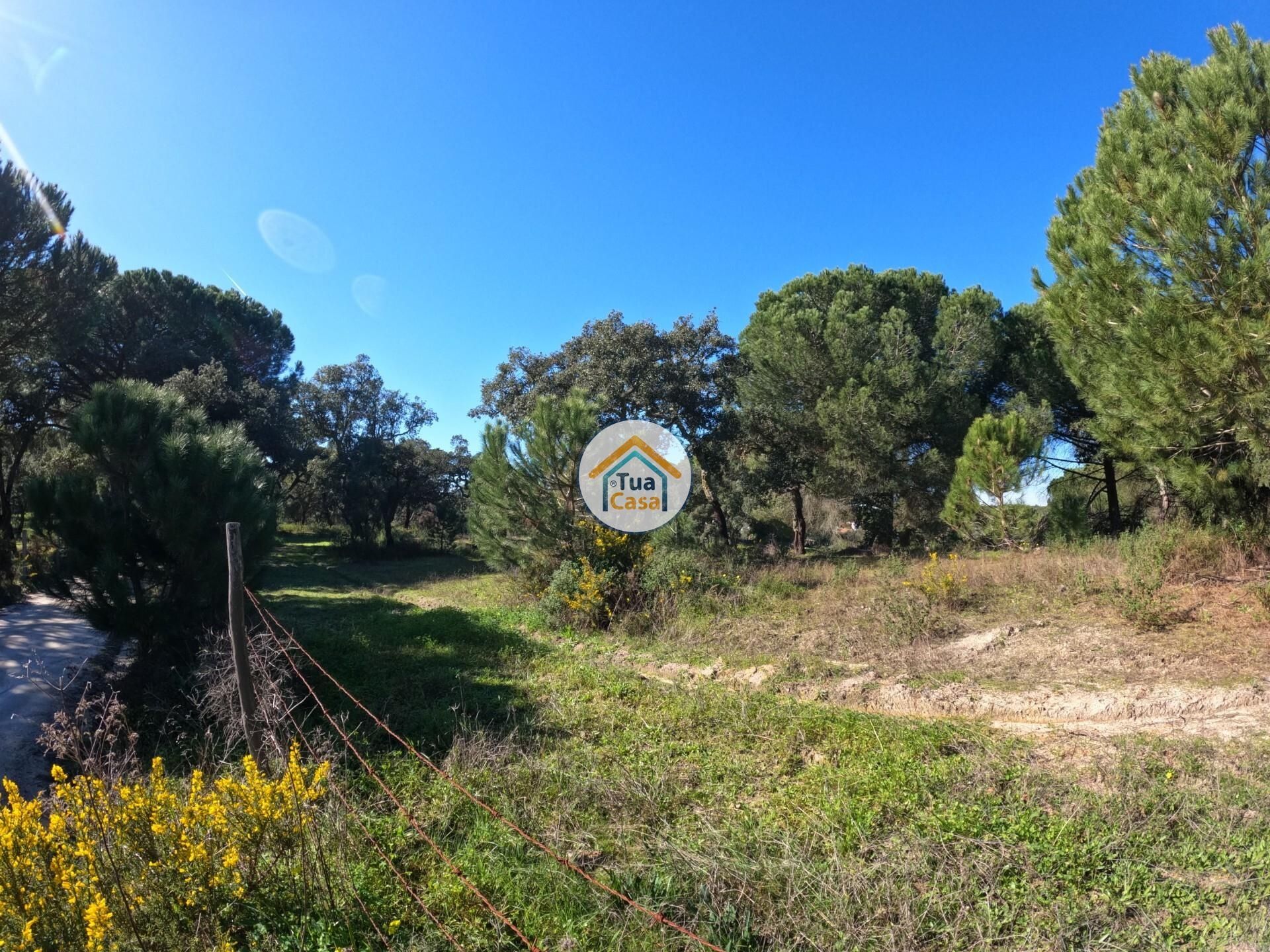 Land in , Distrito de Évora 12884781