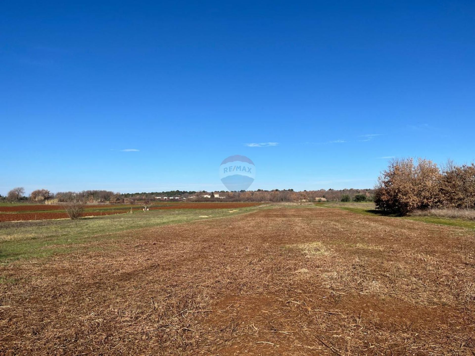 Terre dans Le goudron, Istarska Zupanija 12885307