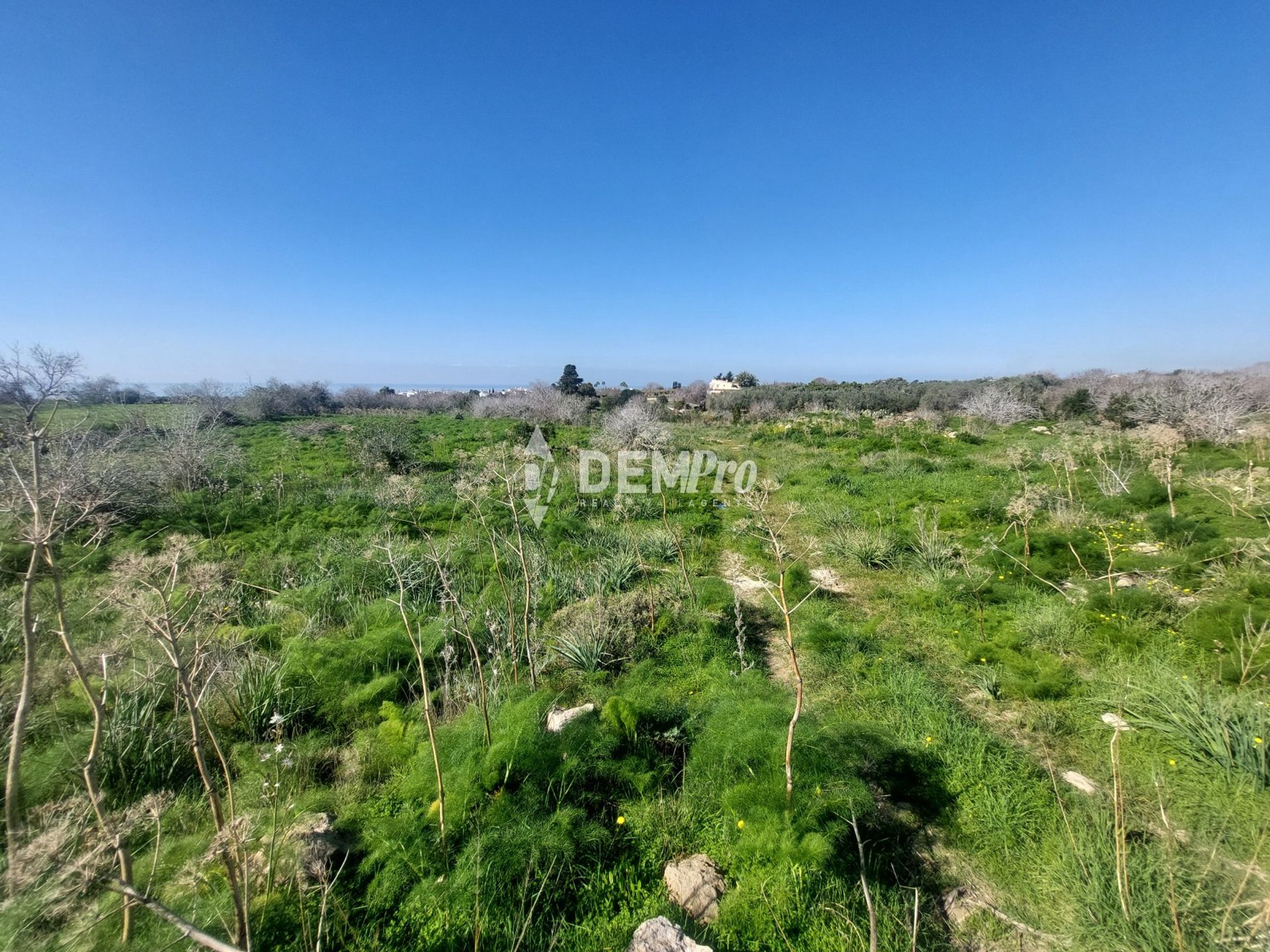 Land in Empa, Pafos 12885527