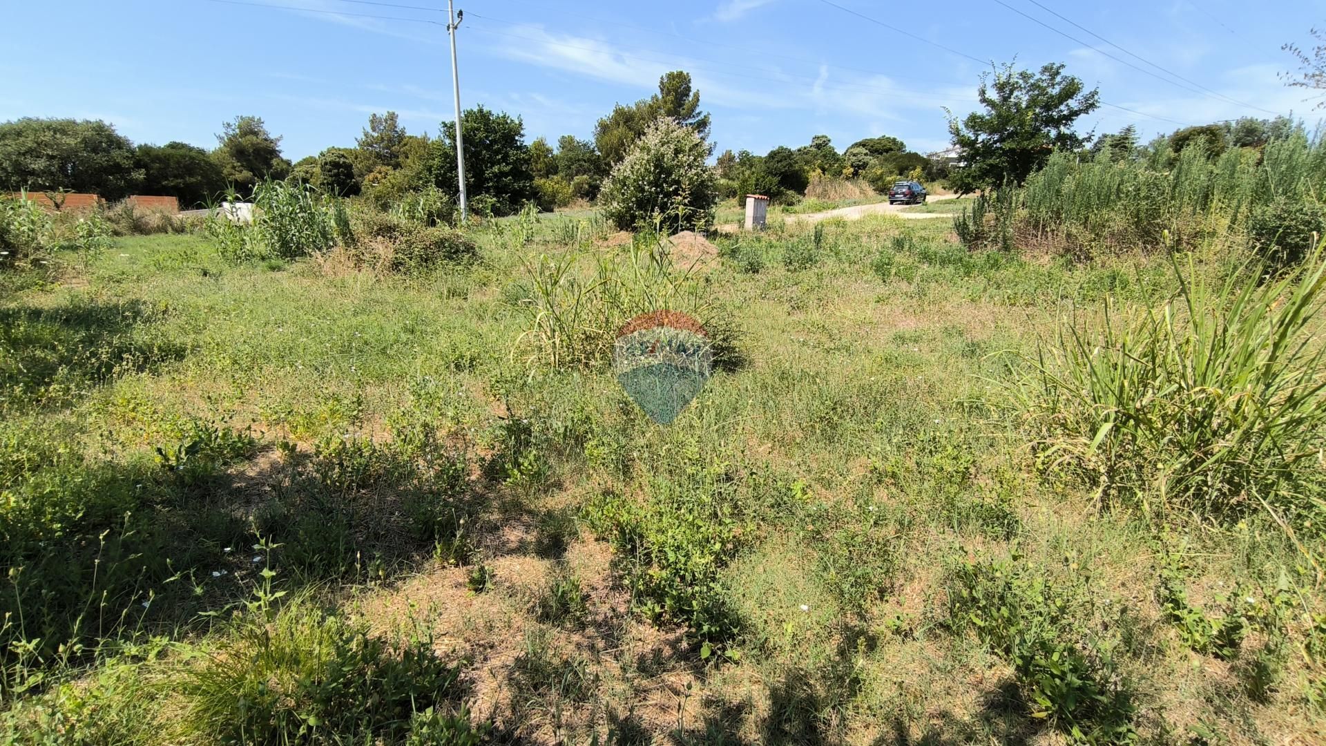 ארץ ב בנג'ול, איסטרסקה זופנייה 12885781