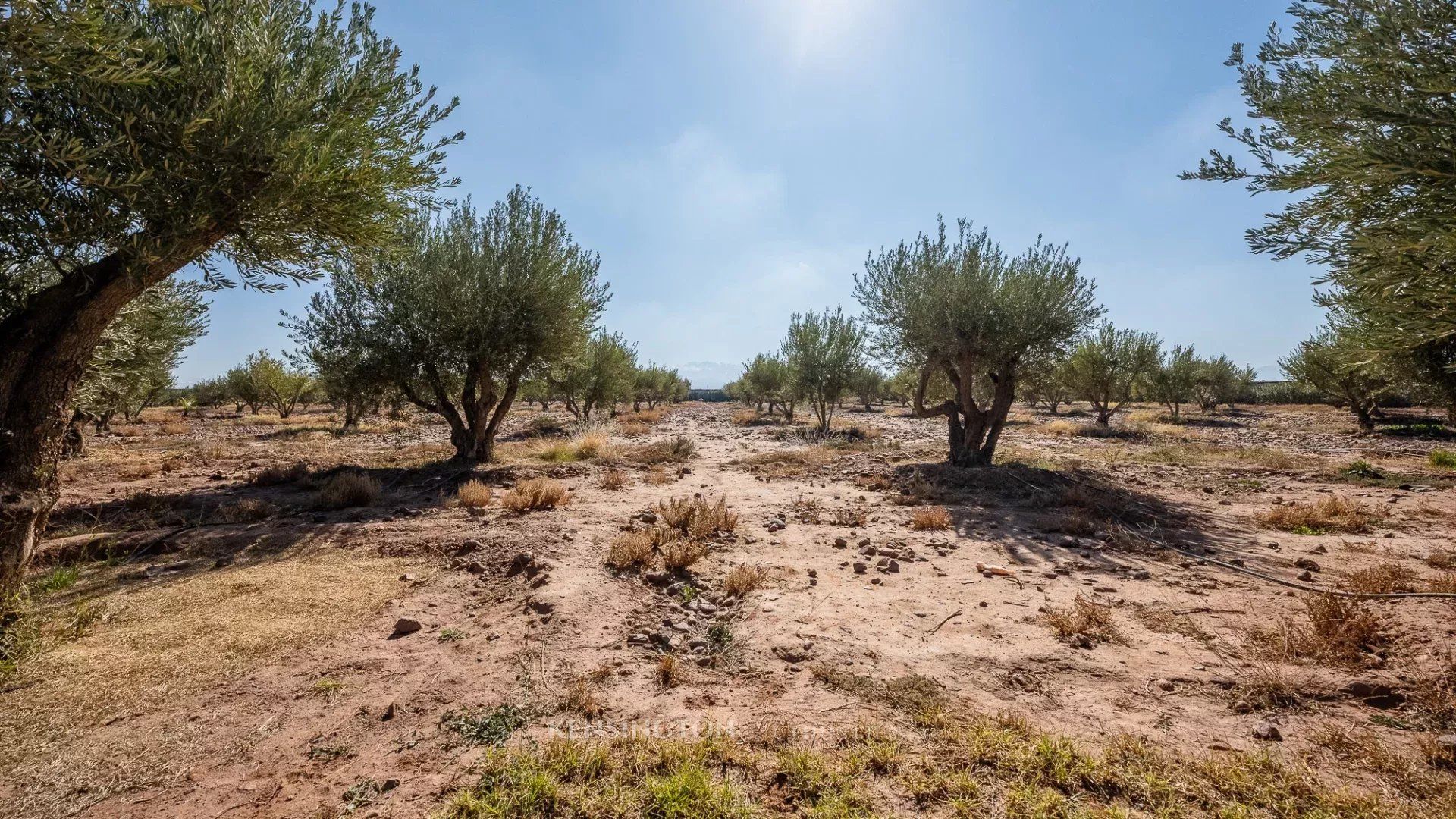 房子 在 Marrakech, Marrakech-Ménara 12886179