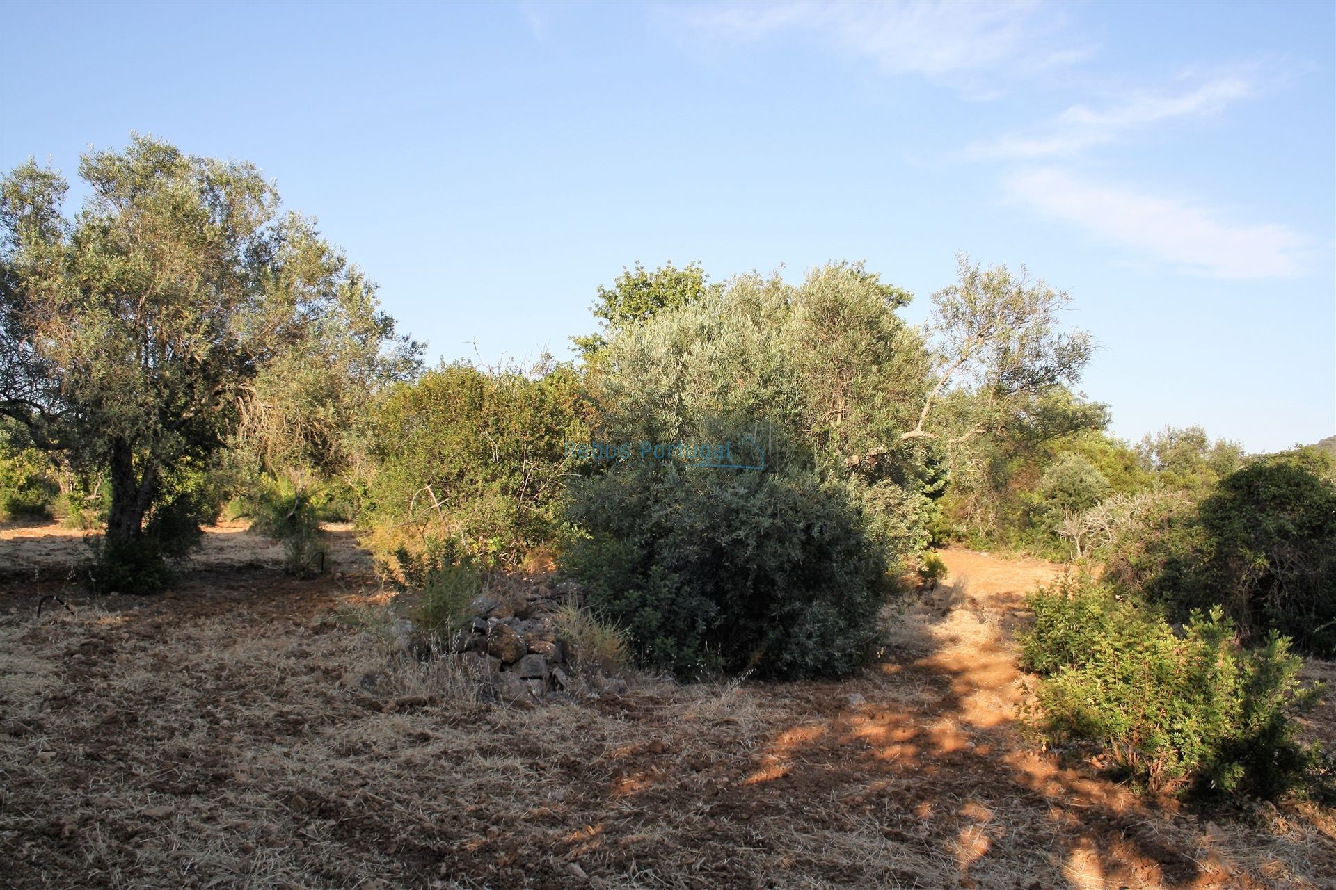 Land in Loulé, Faro 12886329