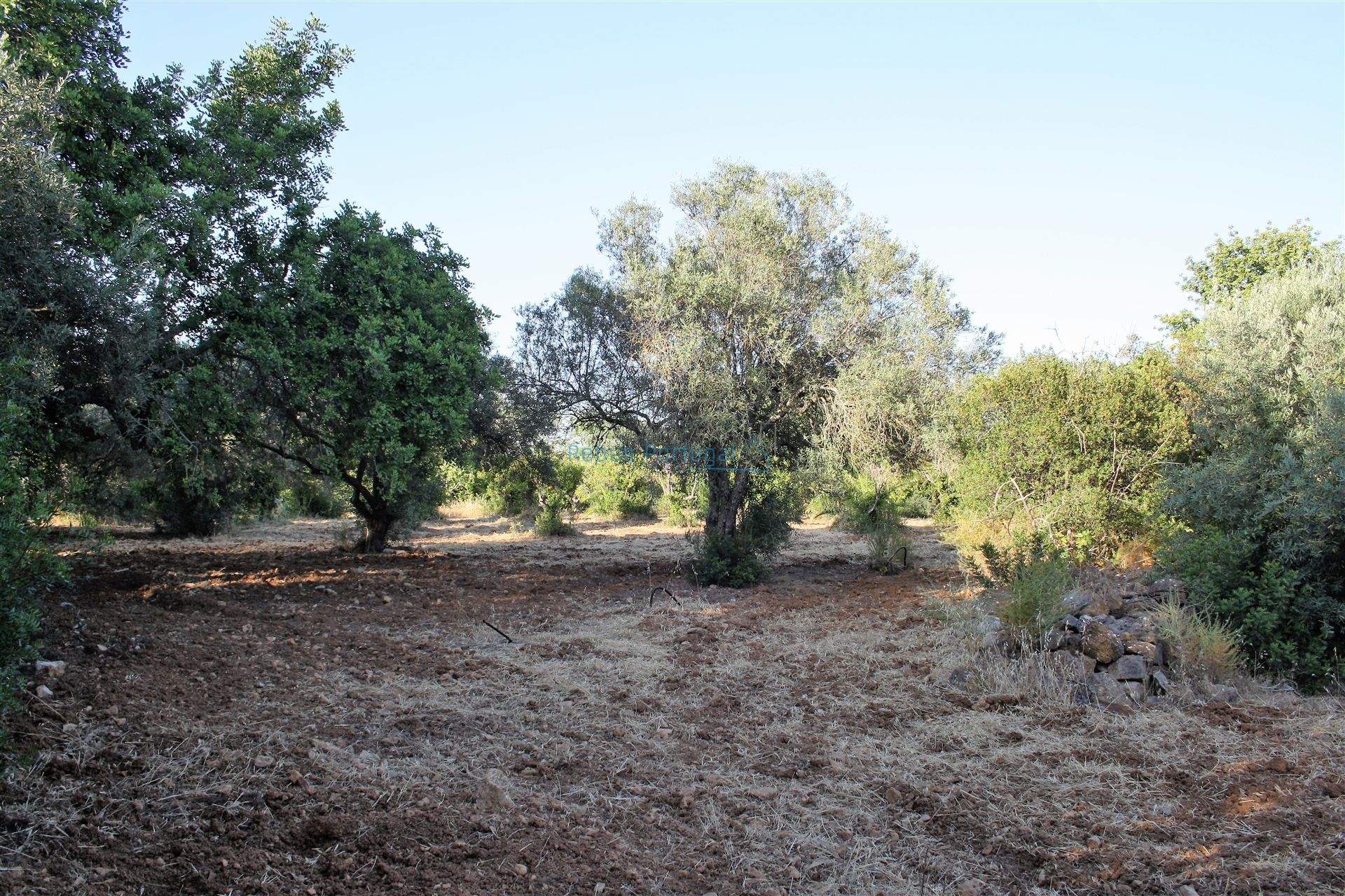 Land in Loulé, Faro 12886329