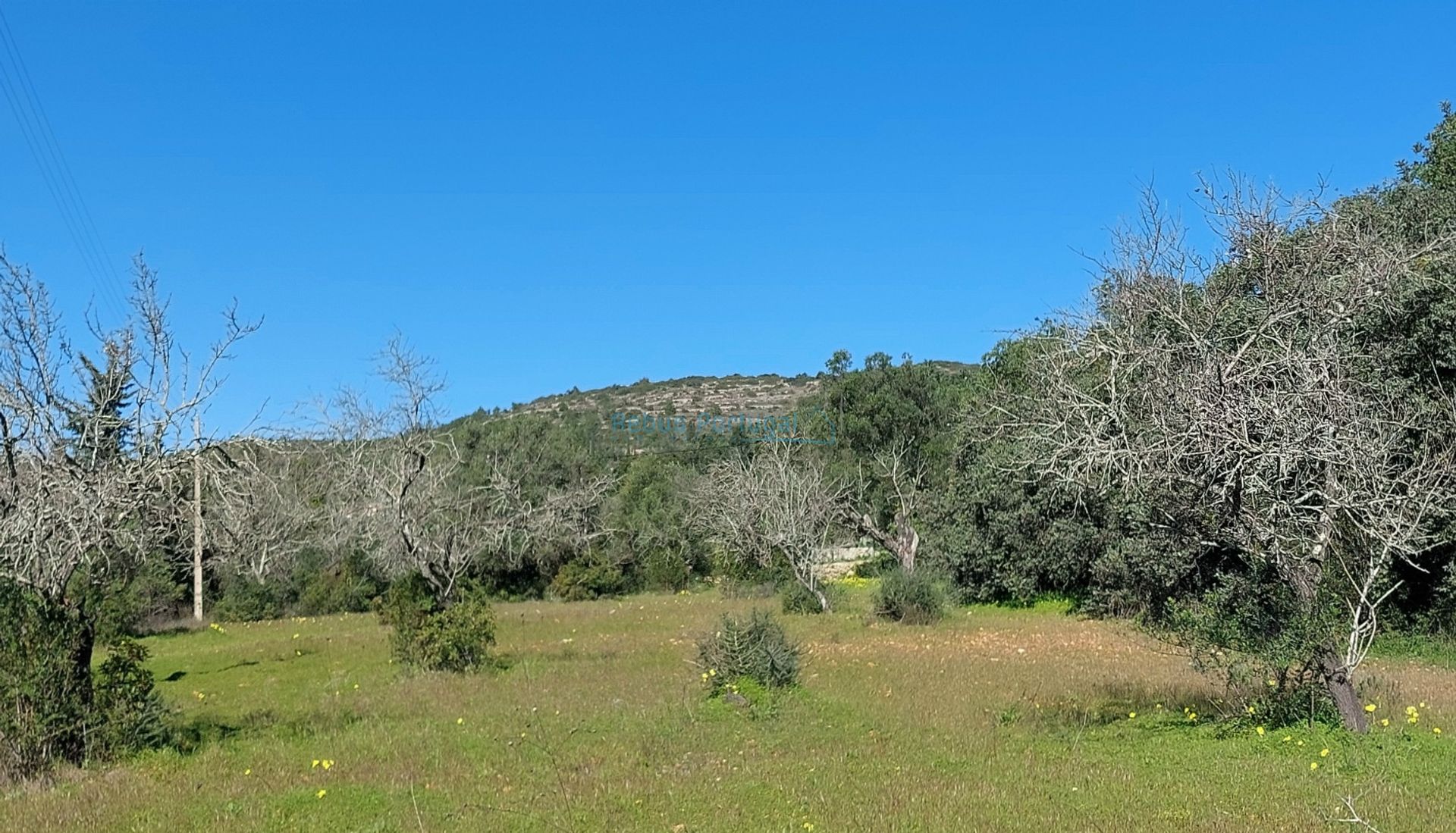 Tanah dalam Santa Barbara de Nexe, Faro 12886337