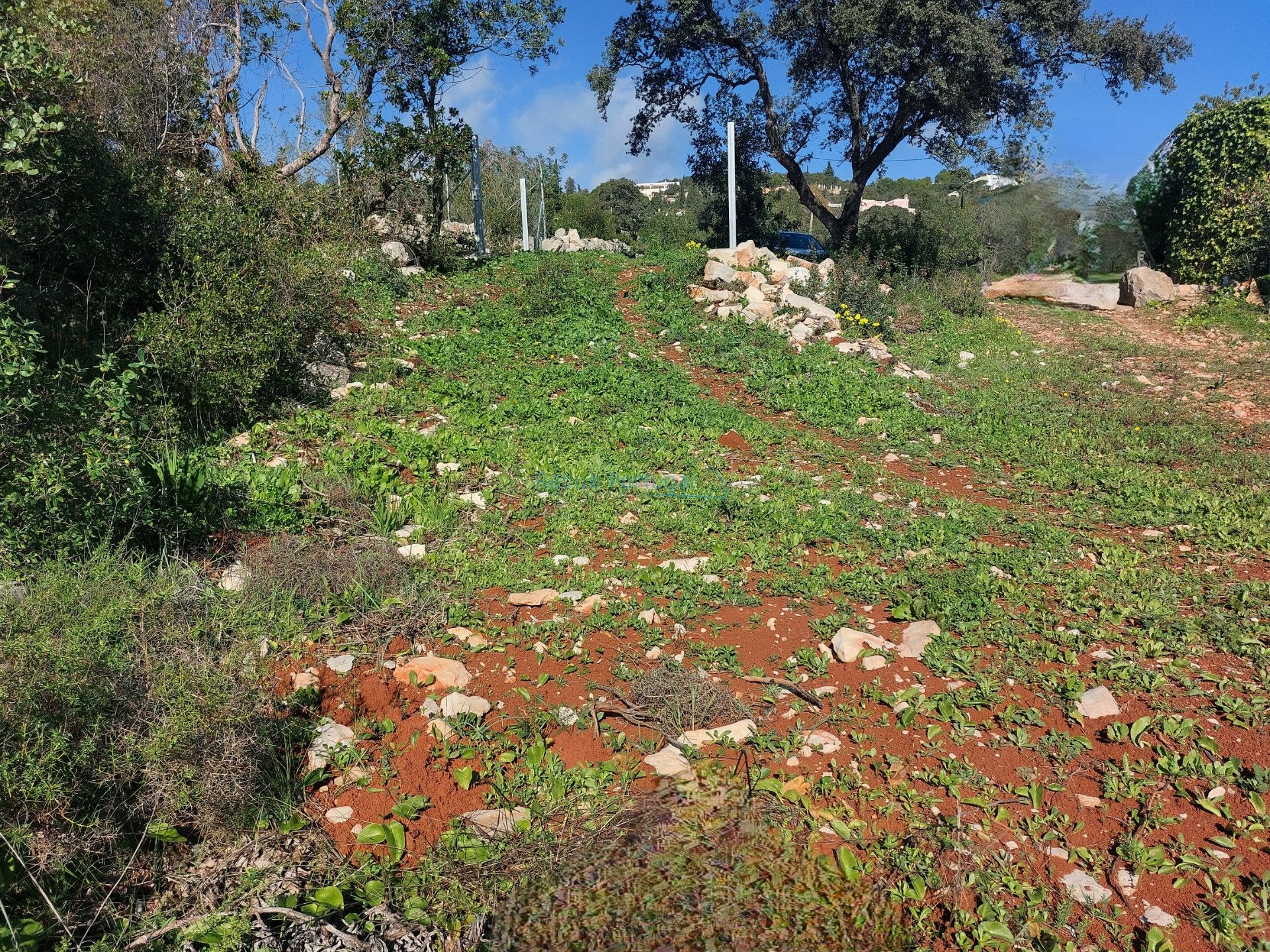 Tanah dalam Santa Barbara de Nexe, Faro 12886338