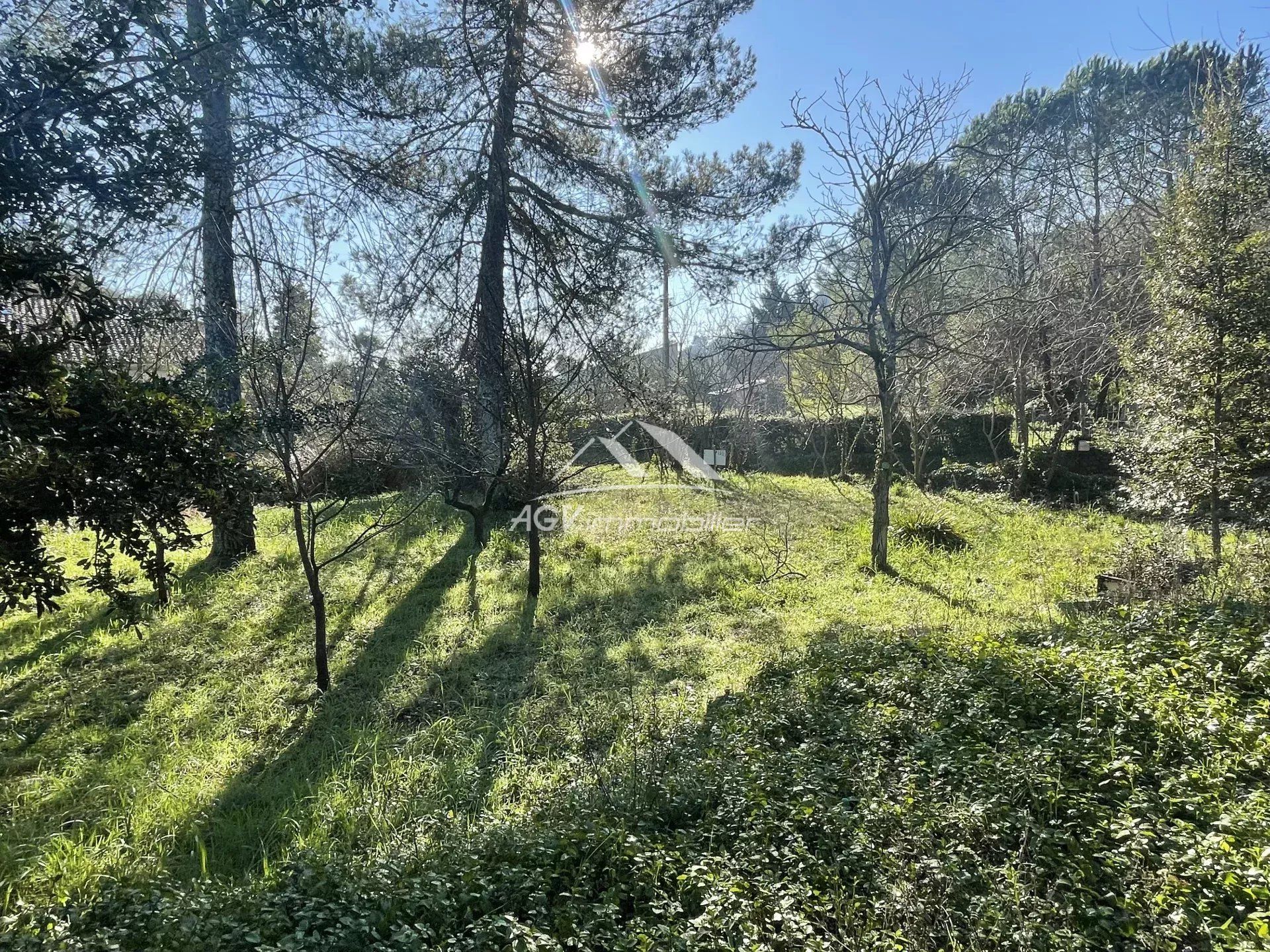 Terre dans Bières, Occitanie 12886654