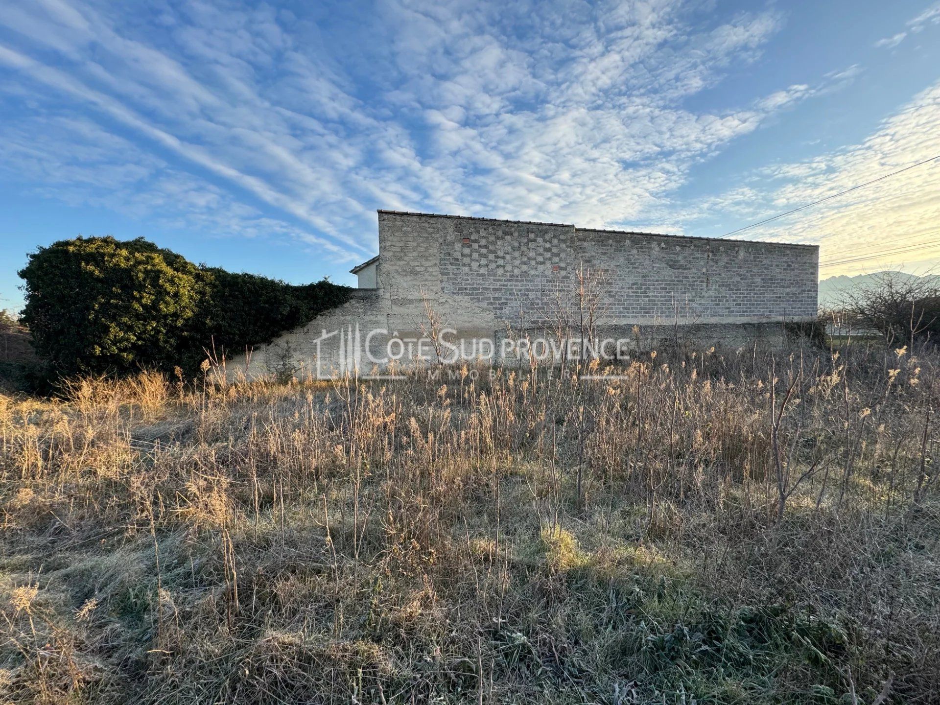 Outro no Violas, Provença-Alpes-Costa Azul 12886661