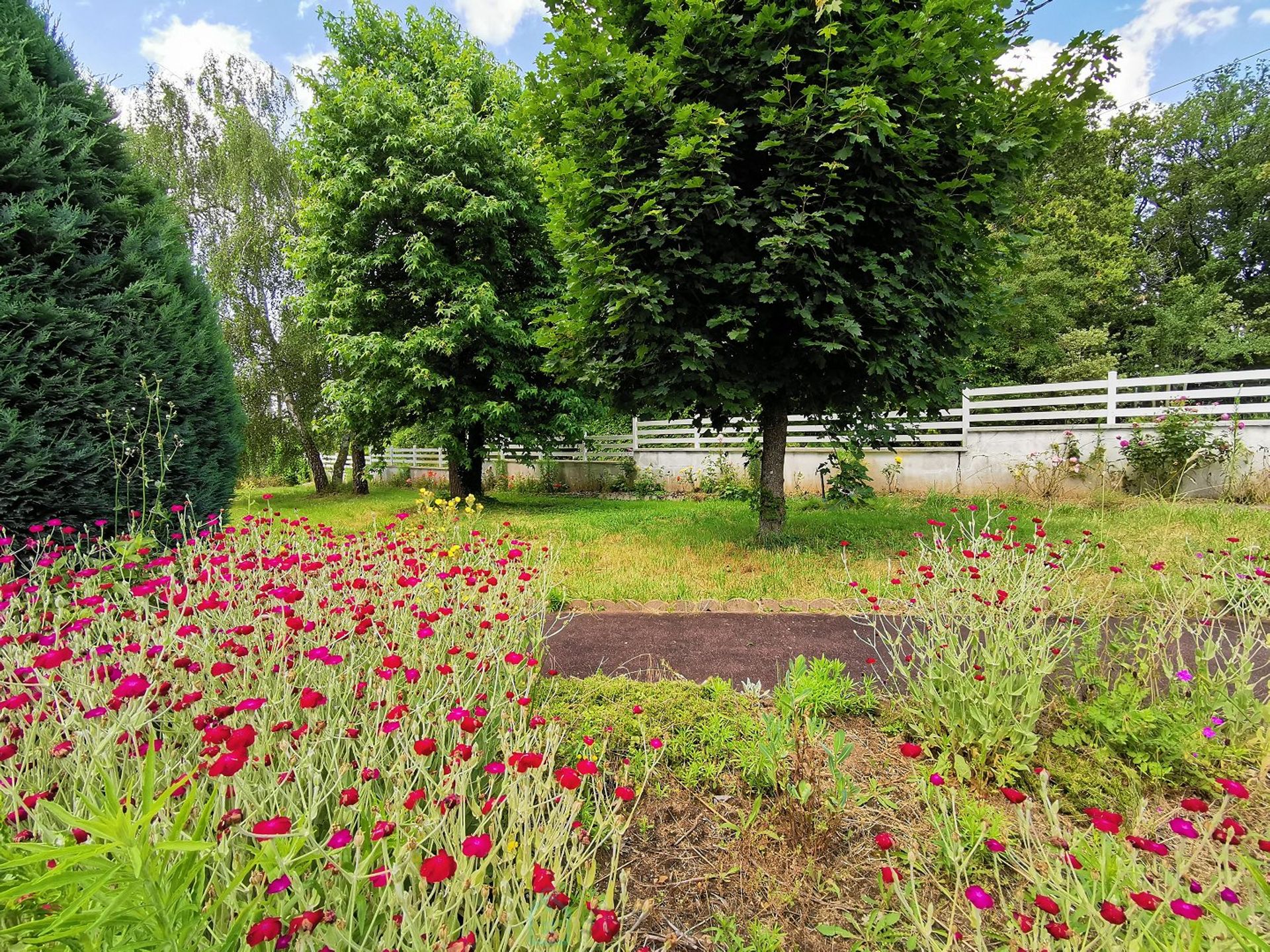 房子 在 Amboise, Centre-Val de Loire 12888358