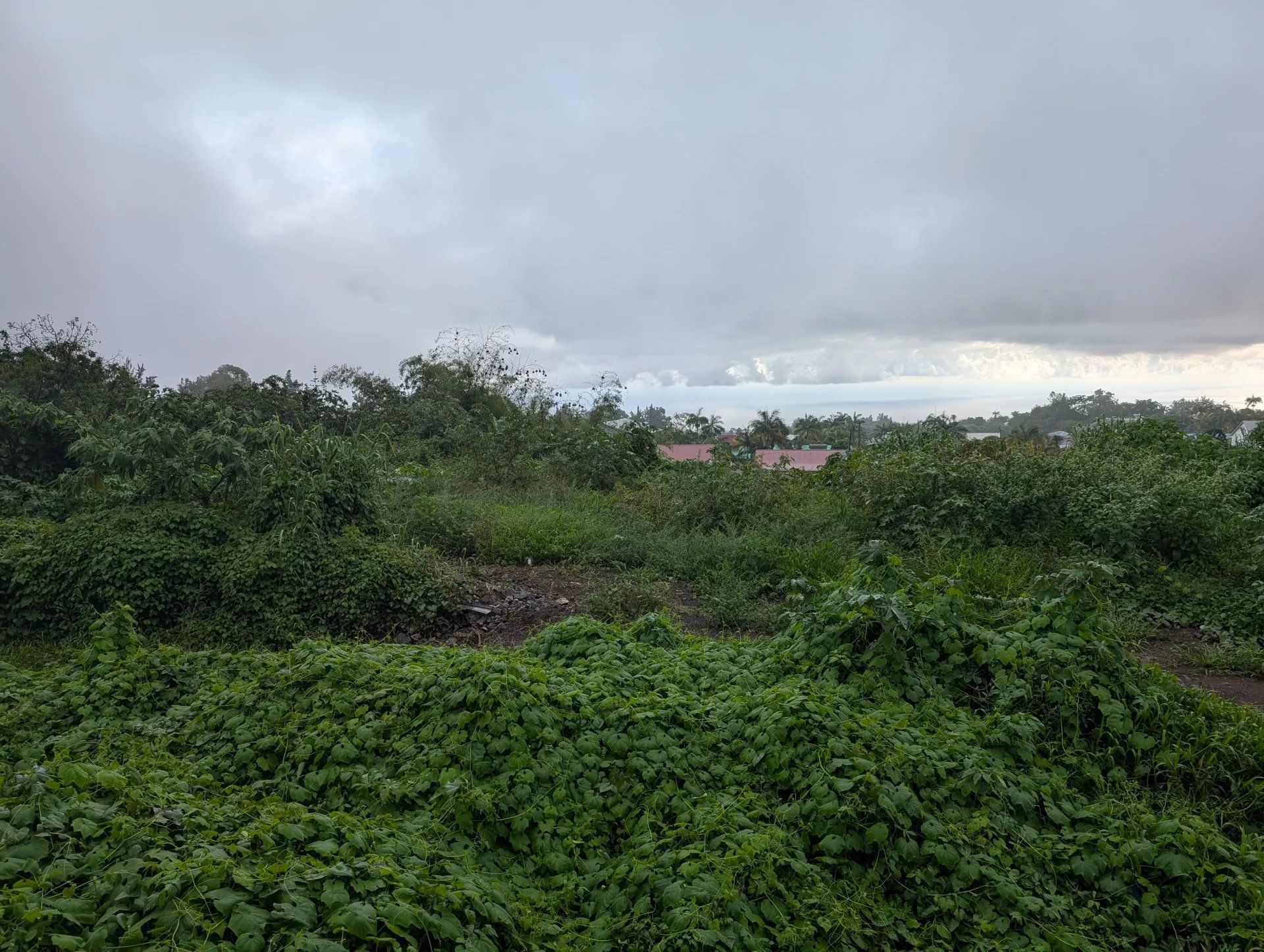 rumah dalam Le Tampon, La Réunion 12888663