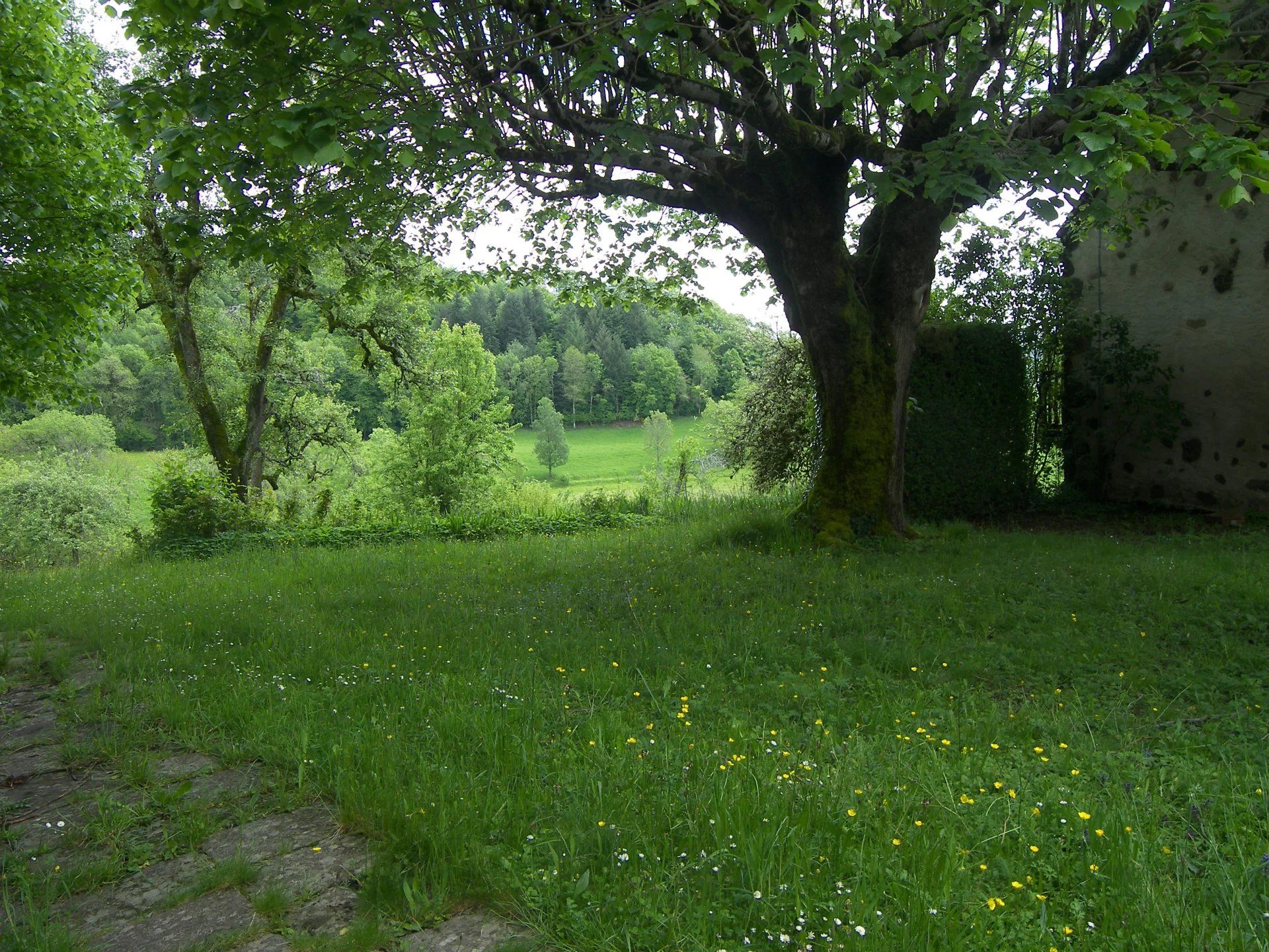 住宅 在 Saint-Cernin, Cantal 12888671