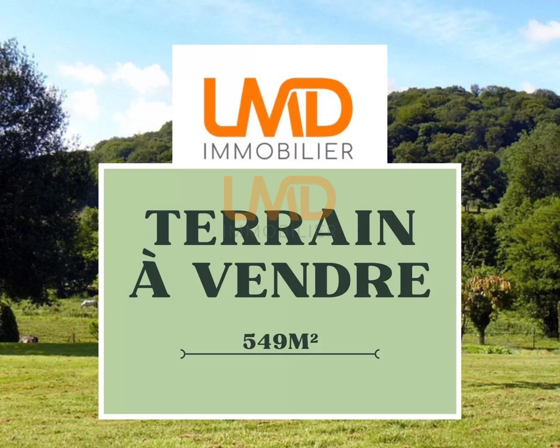 Commercial dans Vue, Loire-Atlantique 12889646