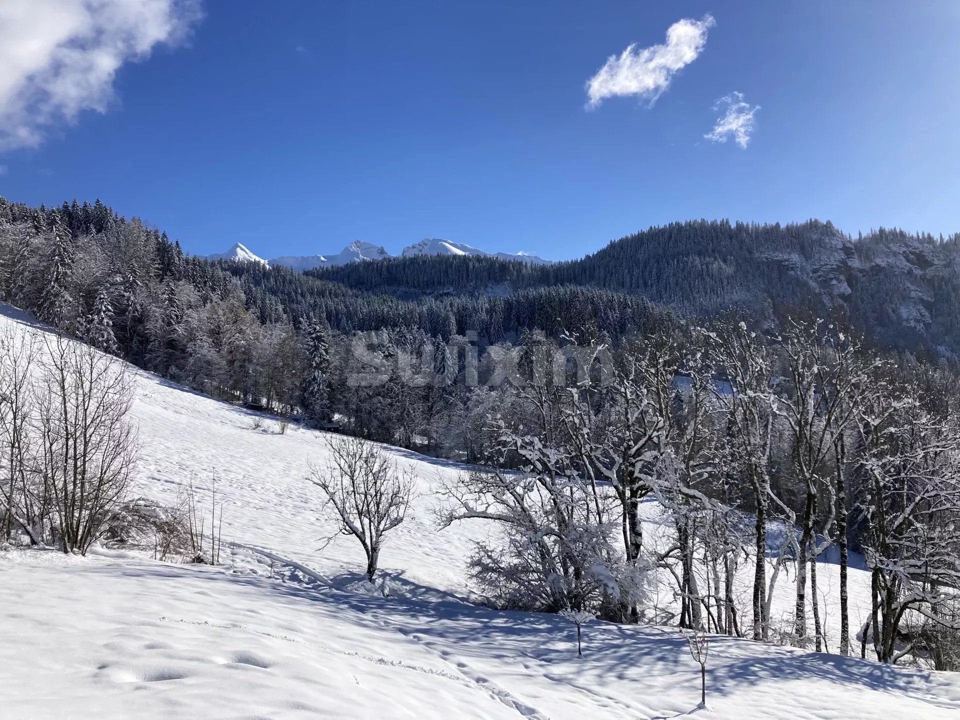 Haus im Saint-Jean-de-Sixt, Auvergne-Rhône-Alpes 12890041