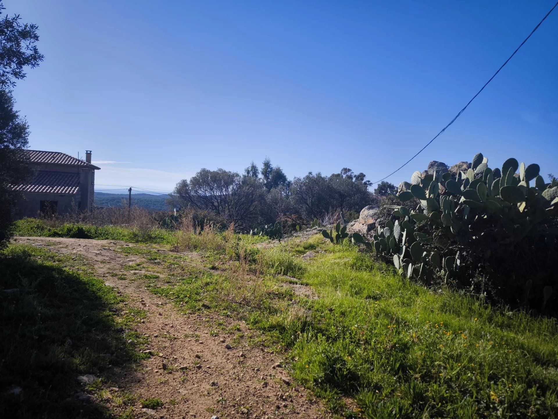 Terre dans Monacia-d'Aullène, Corse-du-Sud 12890060