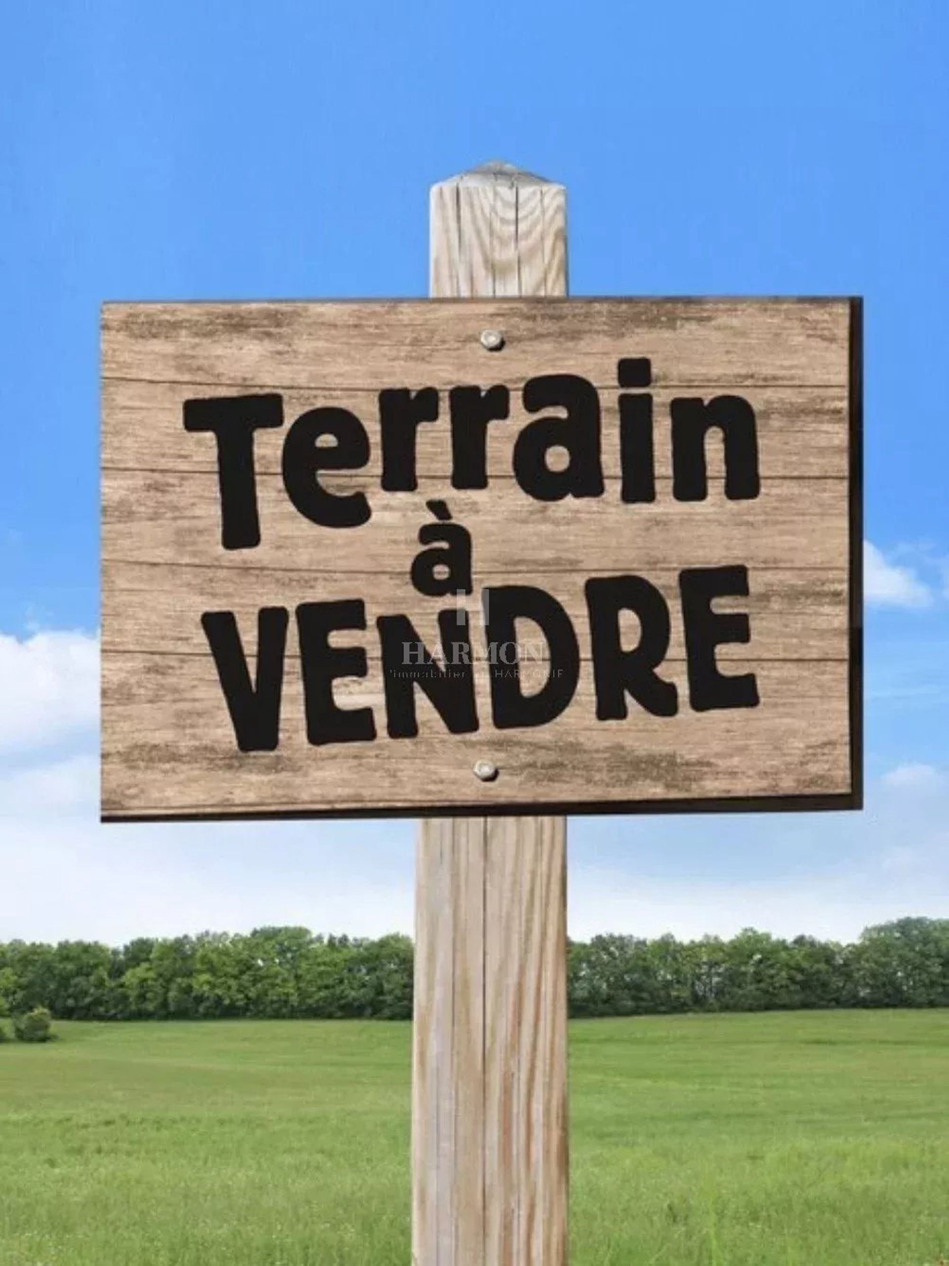 Land i Tarnos, Nouvelle-Aquitaine 12890544