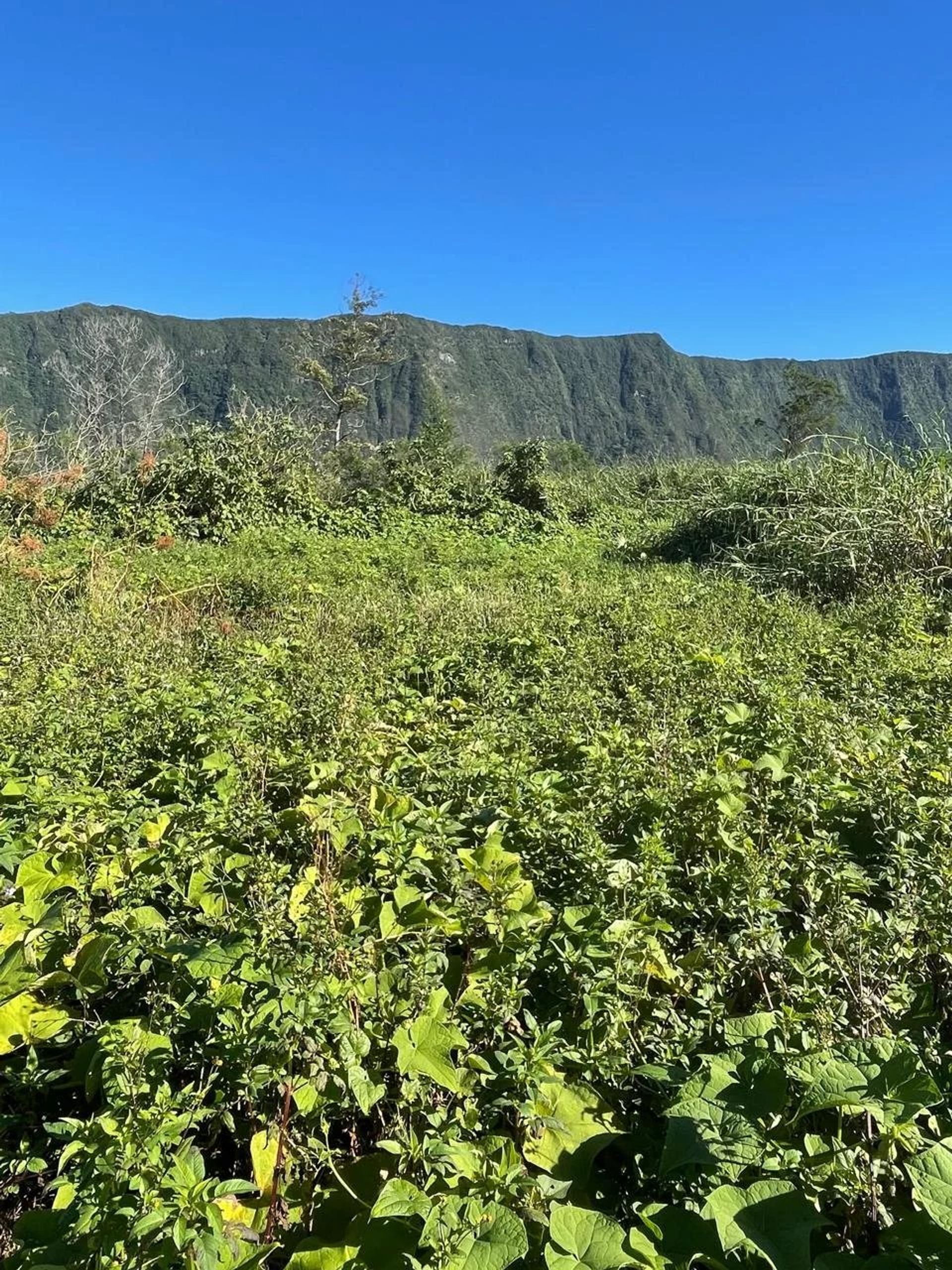 жилой дом в Saint-Joseph, La Réunion 12890970