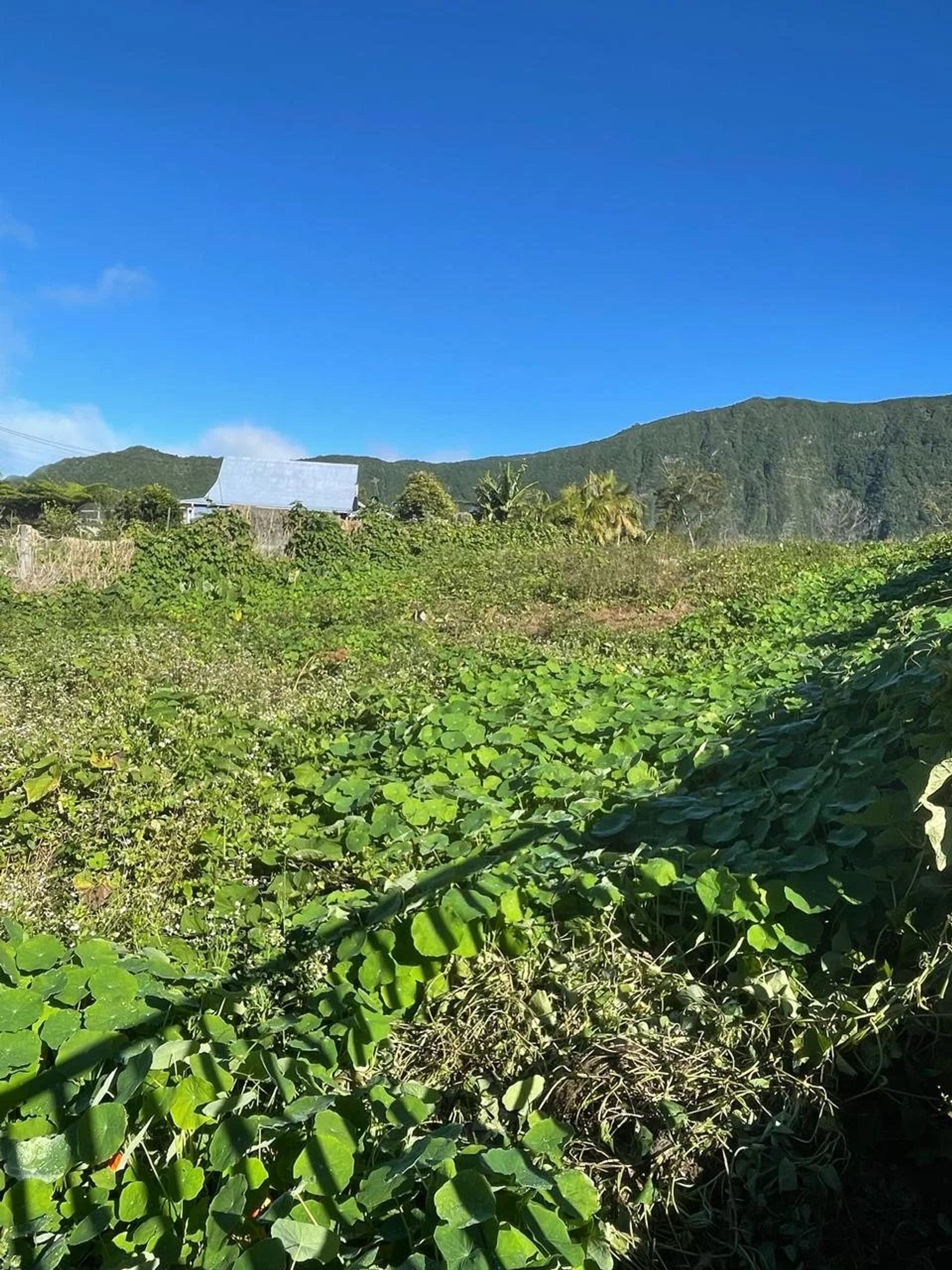 жилой дом в Saint-Joseph, La Réunion 12890970